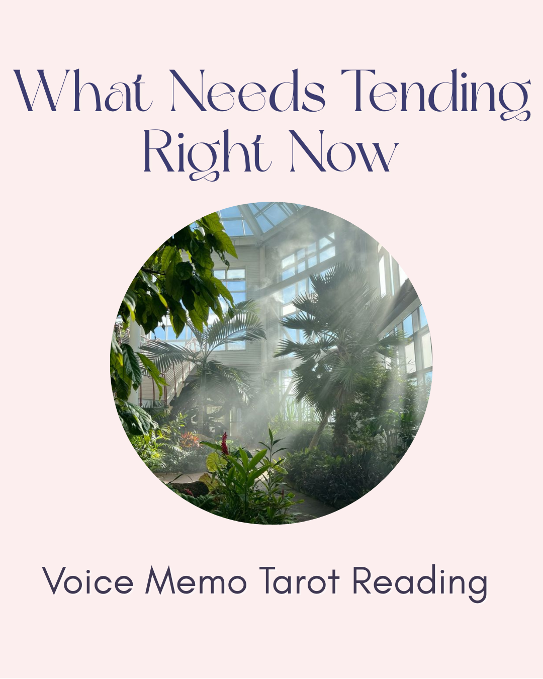 What Needs Tending Right Now? Voice Memo Reading