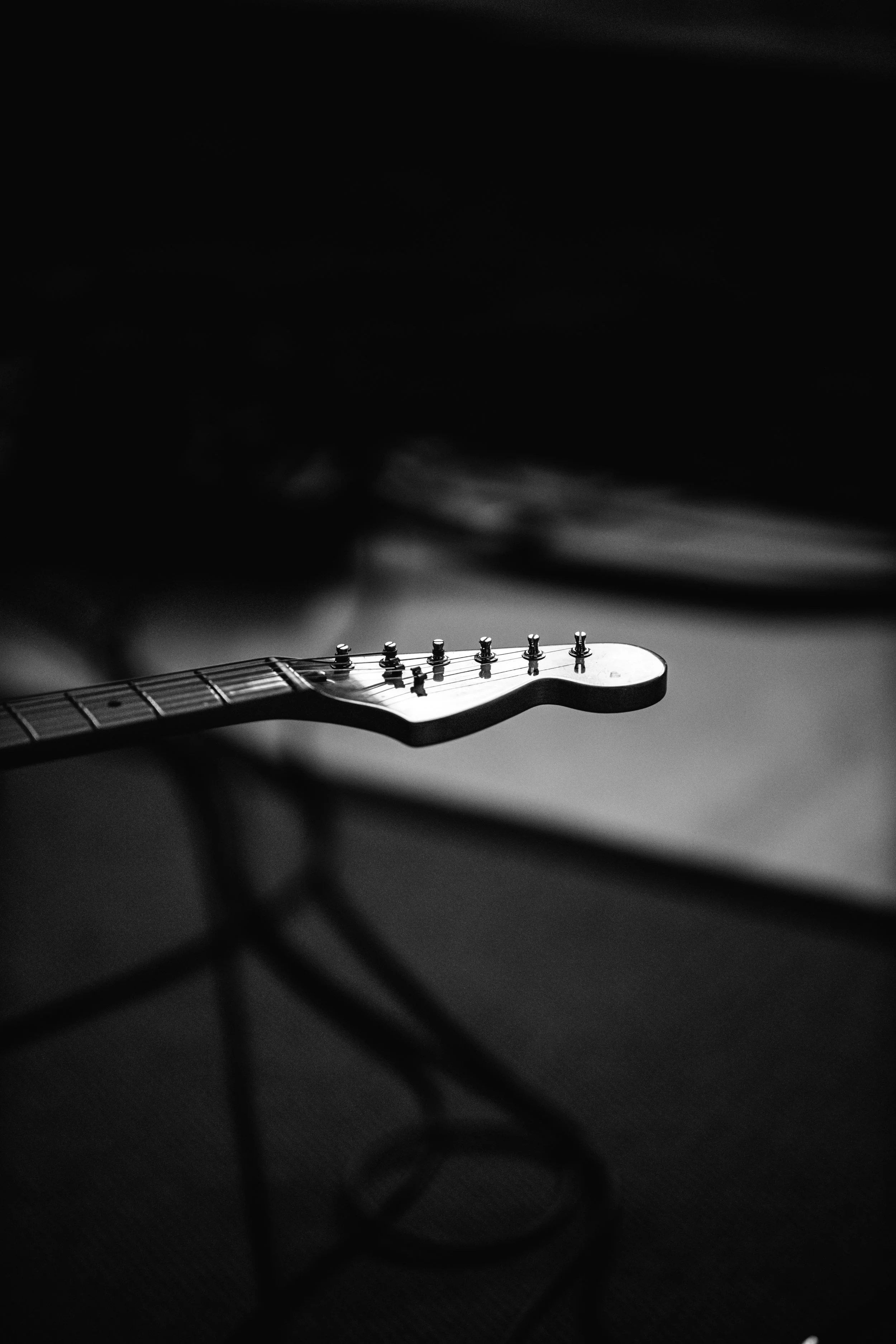 Close-up of a guitar neck and headstock in black and white with soft lighting.