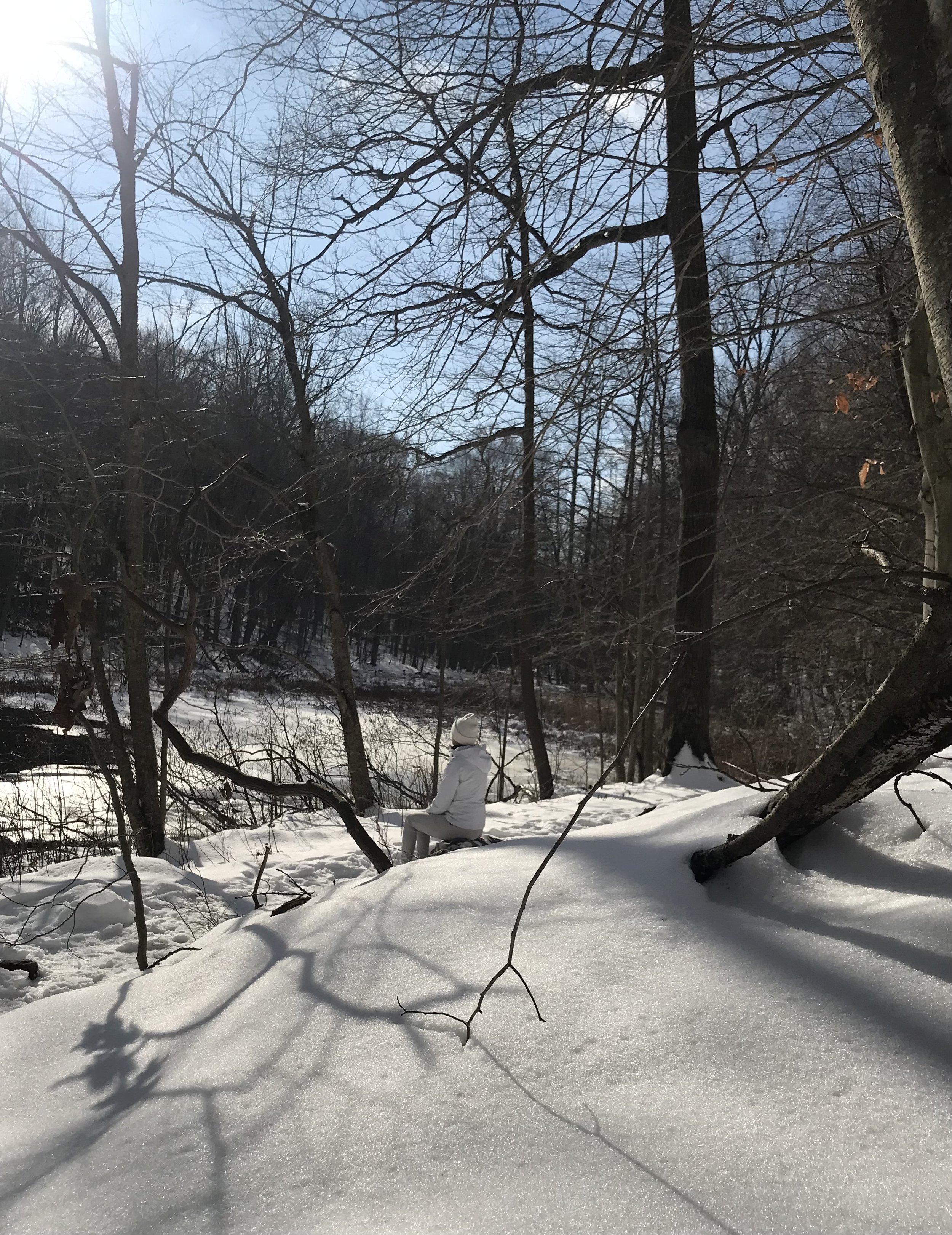 IMG_3461 2.jpeg