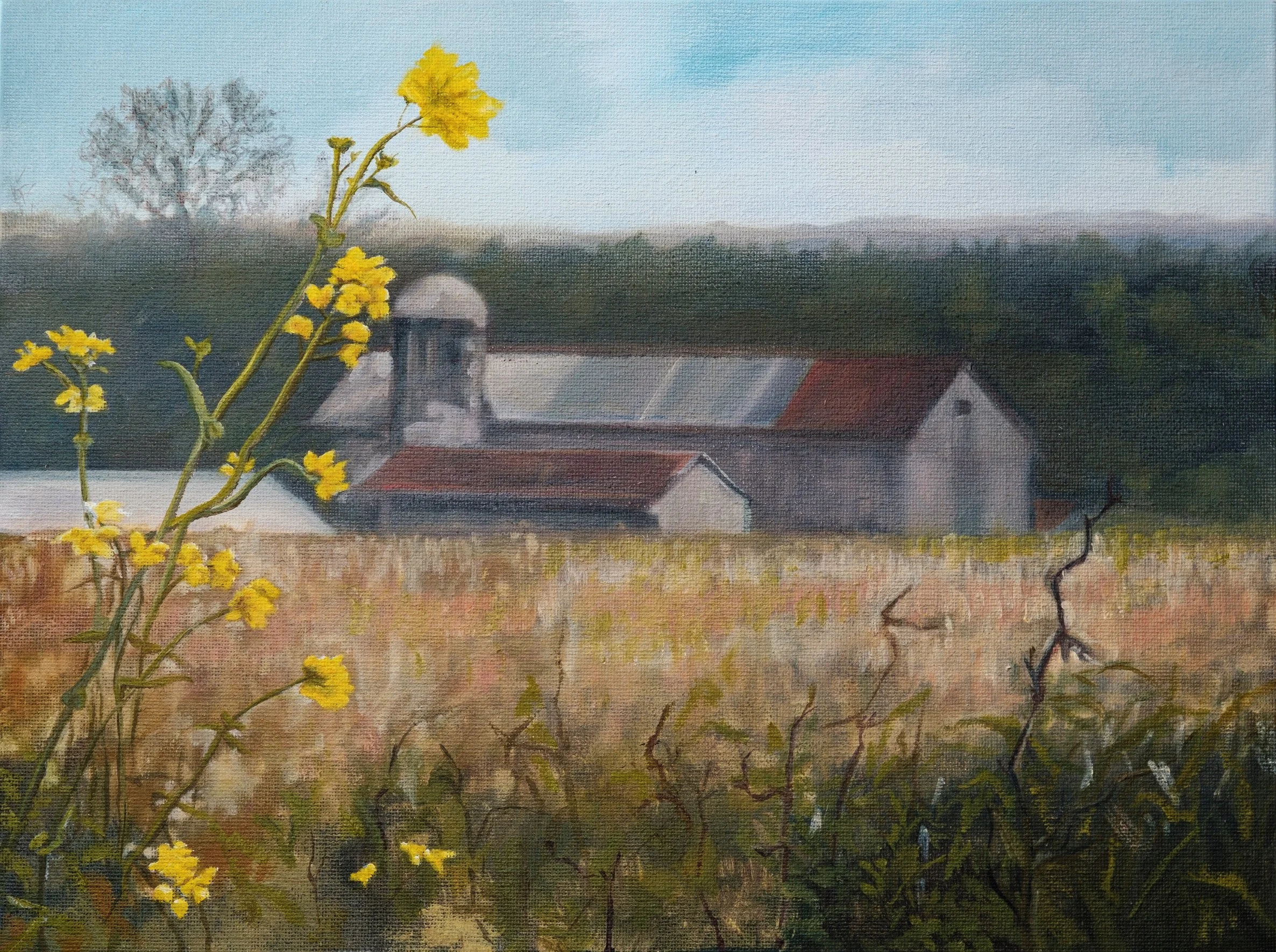 Distant Barn