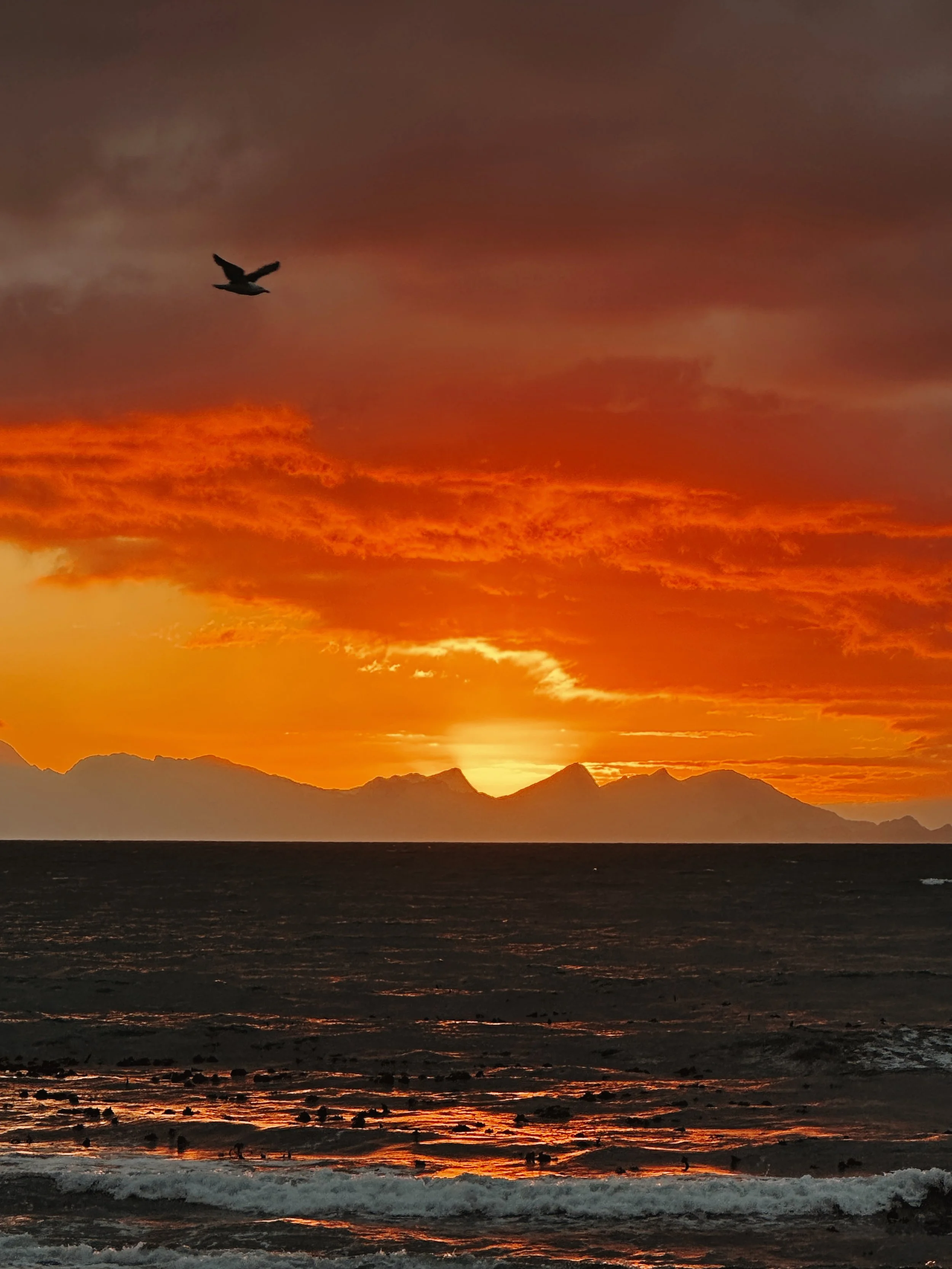 Maybe I manifested too much?