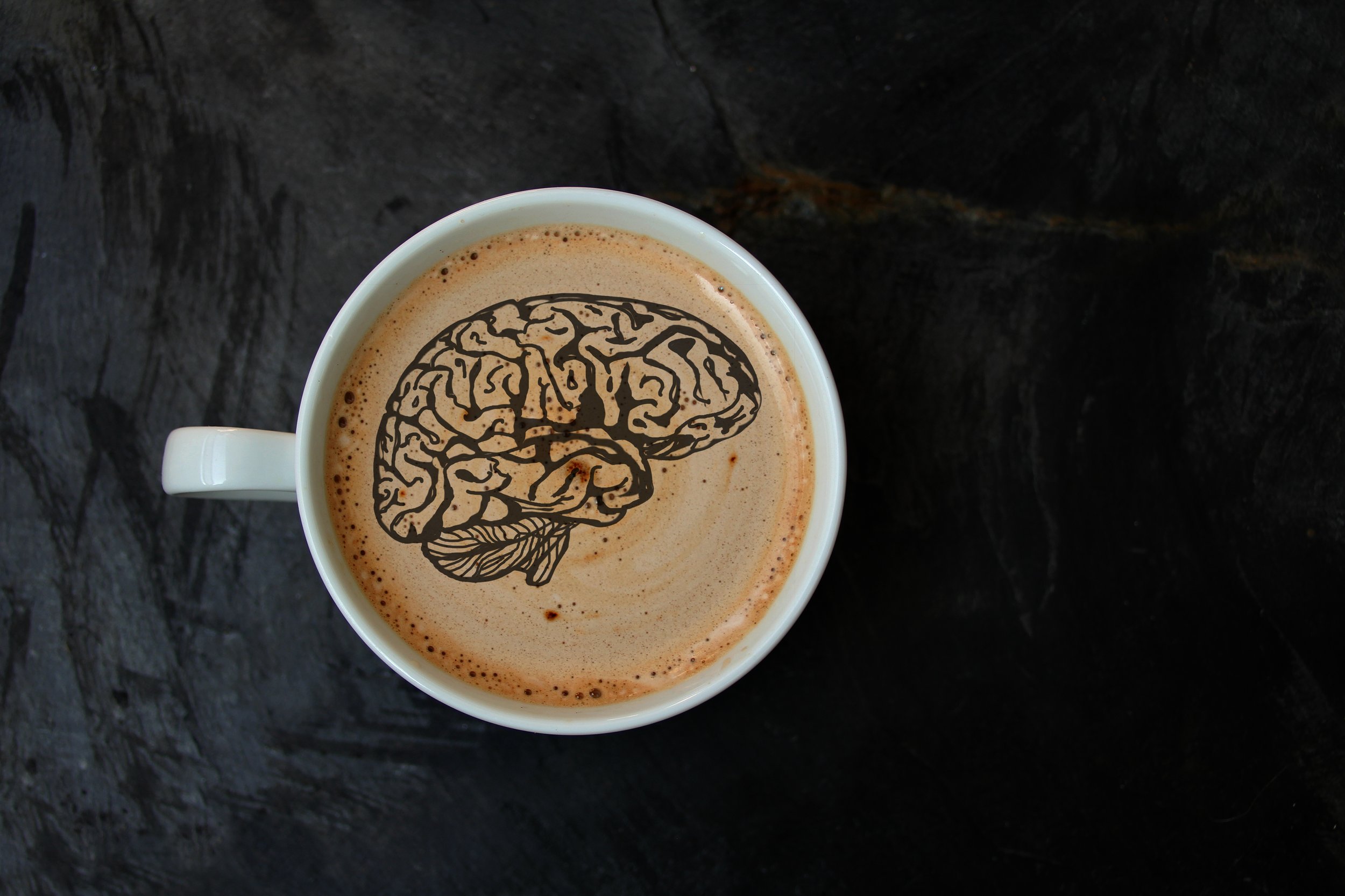 The Hilarious Hijinks of the Underdeveloped Prefrontal Cortex: Life Before 25