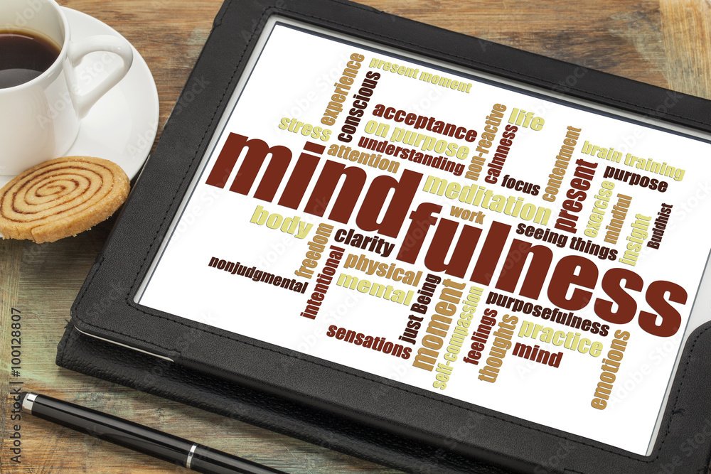 Mindful v Mind full