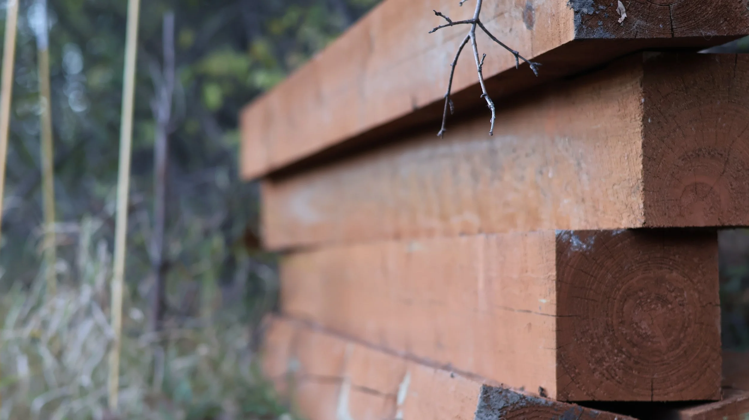 Close-up of orange wooden planks stacked horizontally outdoors with blurred trees and foliage in the background.