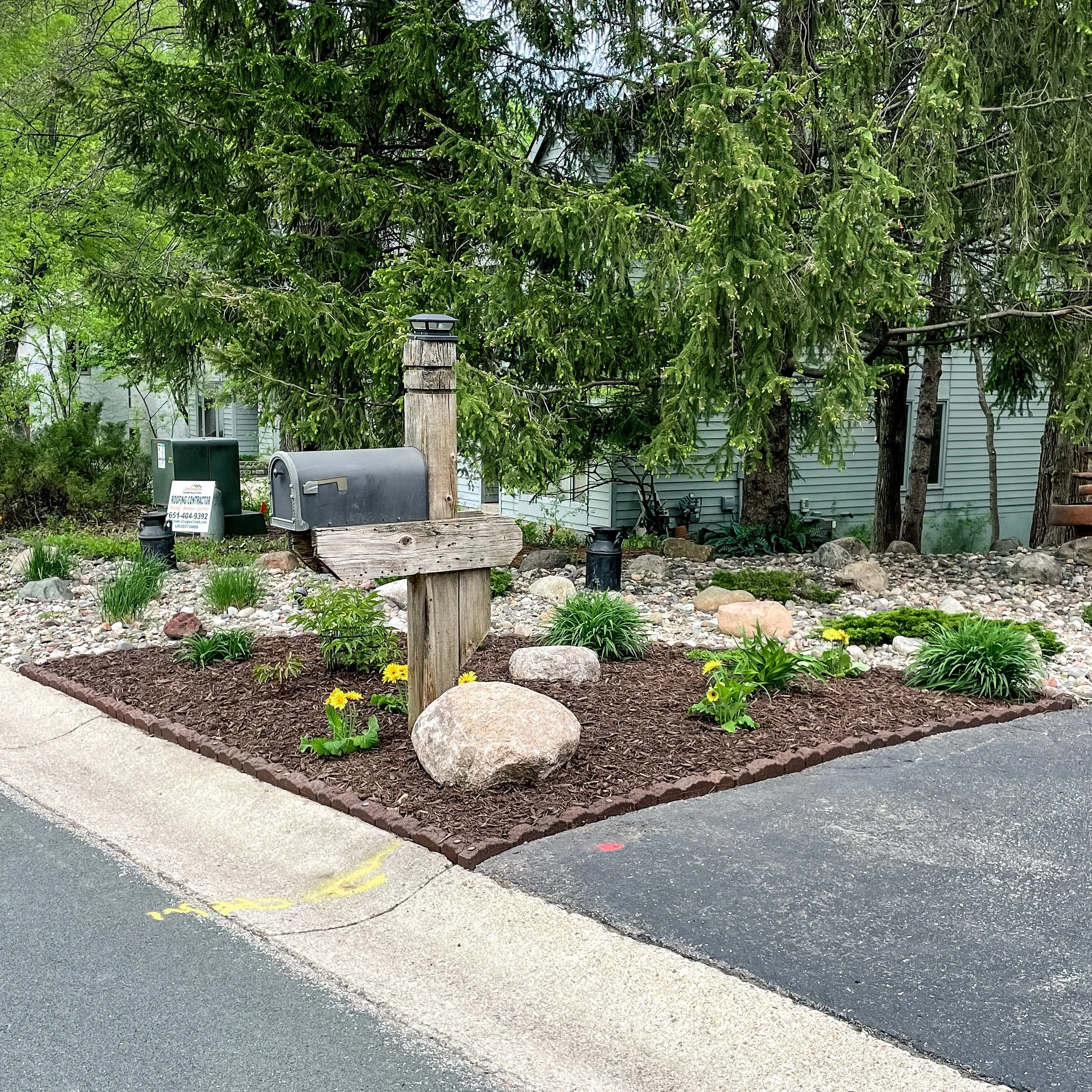 A landscaped garden bed with mulch, rocks, and green plants, including yellow flowers, next to a paved driveway, with a large tree and residential house in the background.