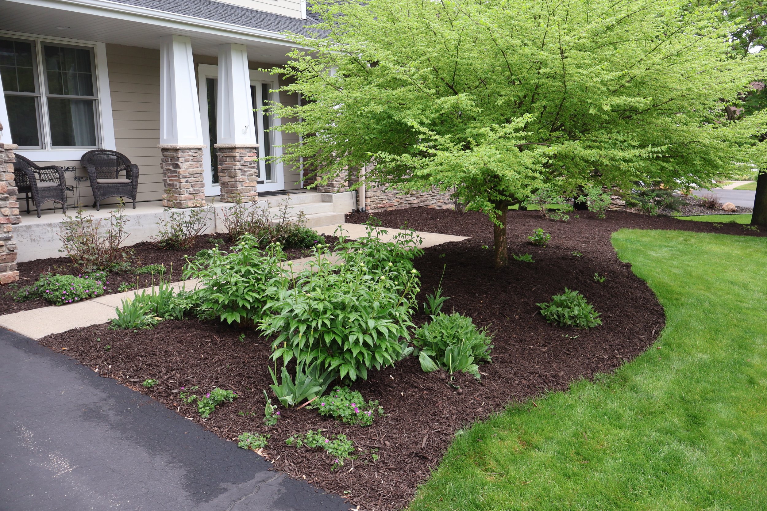 Front yard landscaping with a driveway, freshly planted flowers, shrubbery, a large tree, and a house porch with two black chairs.
