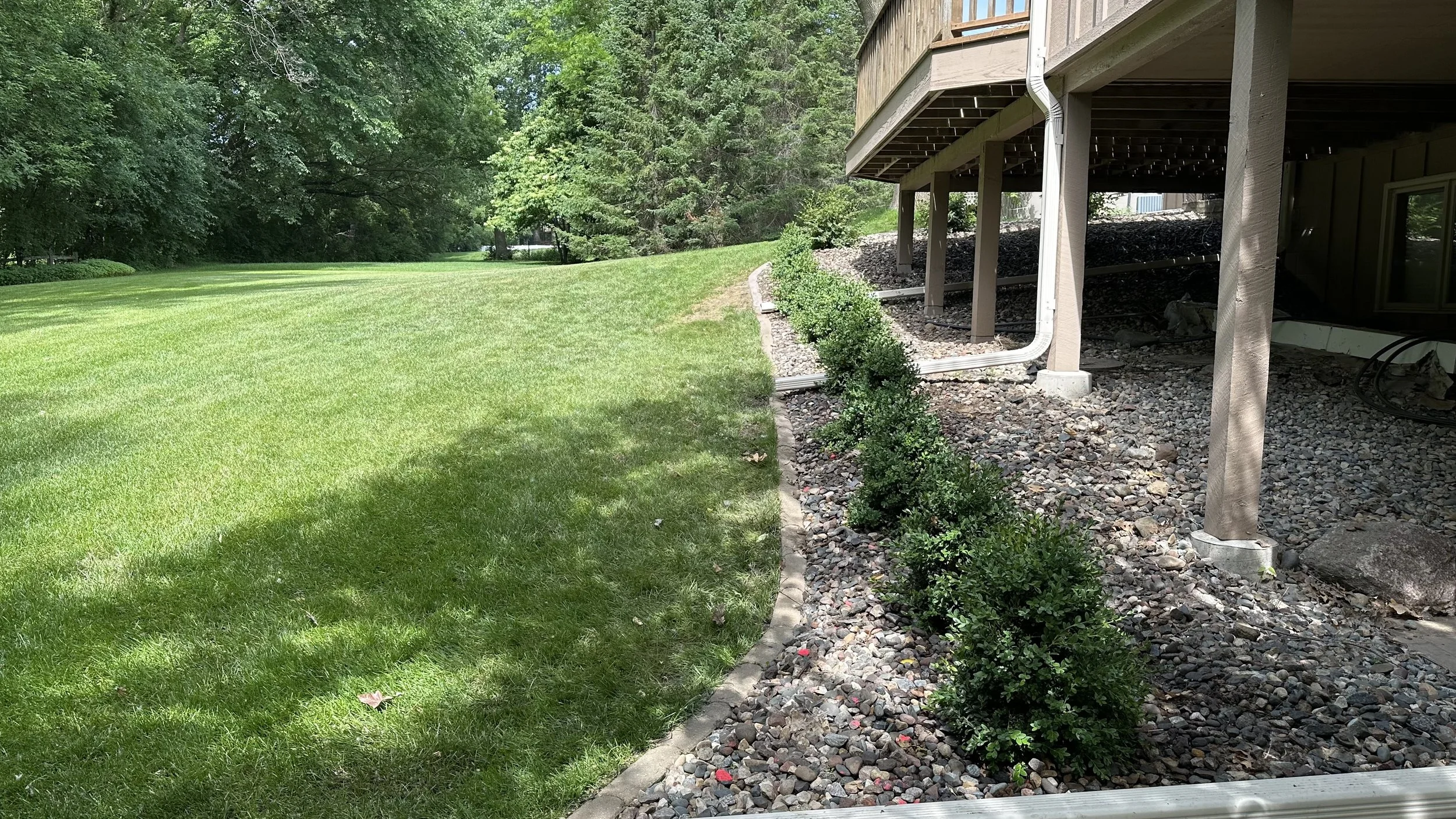 A landscaped yard with green grass, small shrubs along the edge of a house with a deck, and trees in the background.