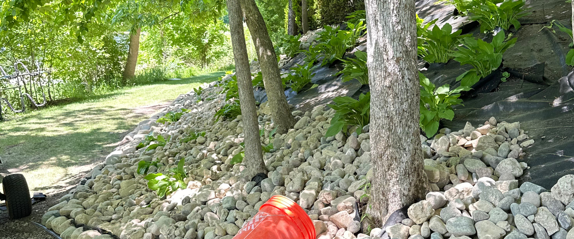 A landscaped garden with a row of plants on a rocky slope next to a tree, black landscaping fabric, and a red bucket in the foreground.