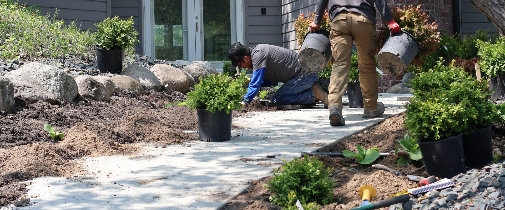 Two people planting greenery along a concrete walkway in a backyard garden.