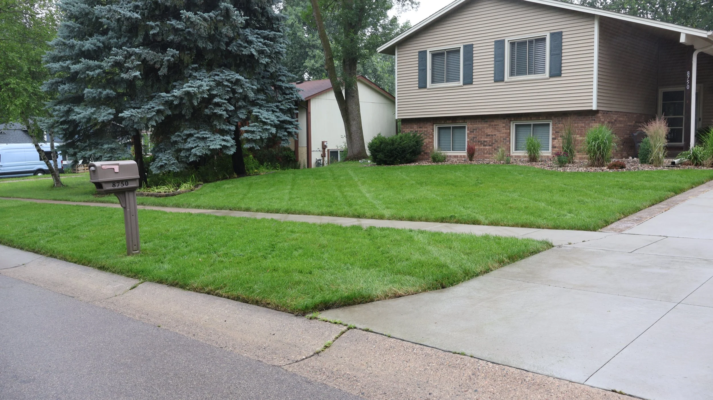 Front yard of a house with a well-manicured lawn, trees, shrubs, sidewalk, and a mailbox with the number 8750 on a suburban street.
