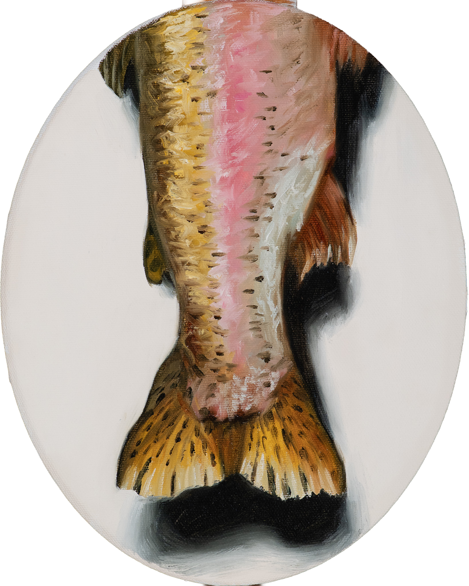 Oil painting of a rainbow trout tail tondo by Hampton Watts — Southern sporting fish art