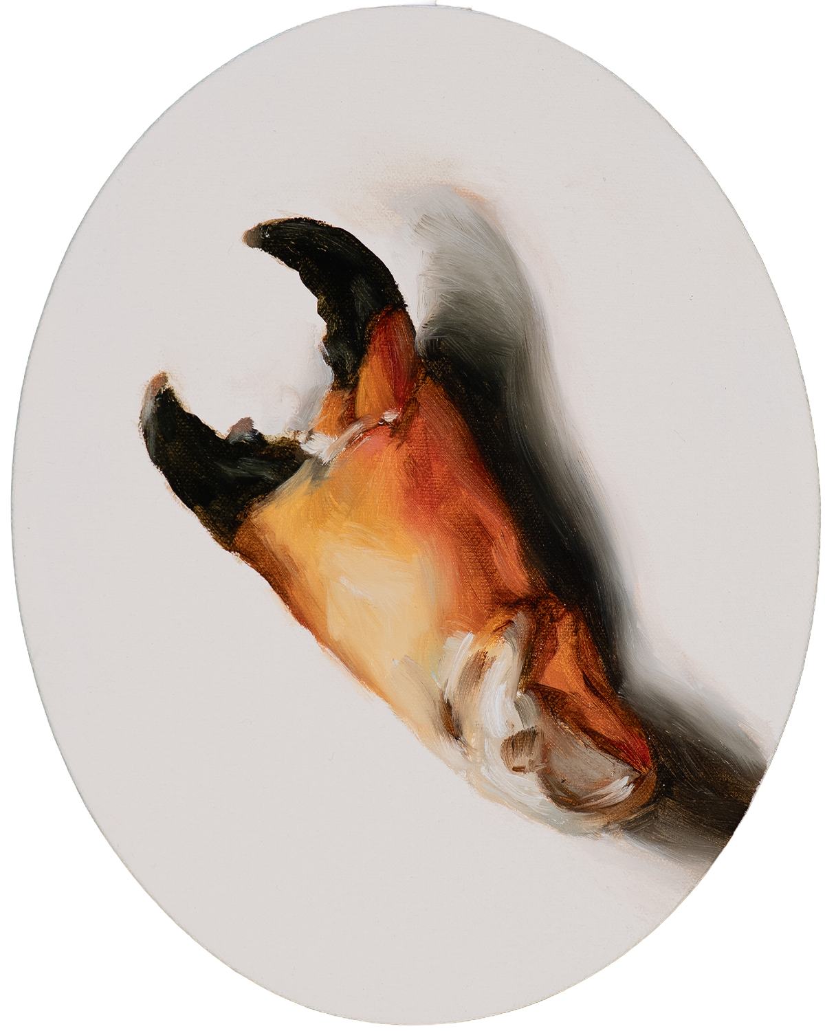 Classical oil painting of a stone crab claw tondo by Savannah painter Hampton Watts