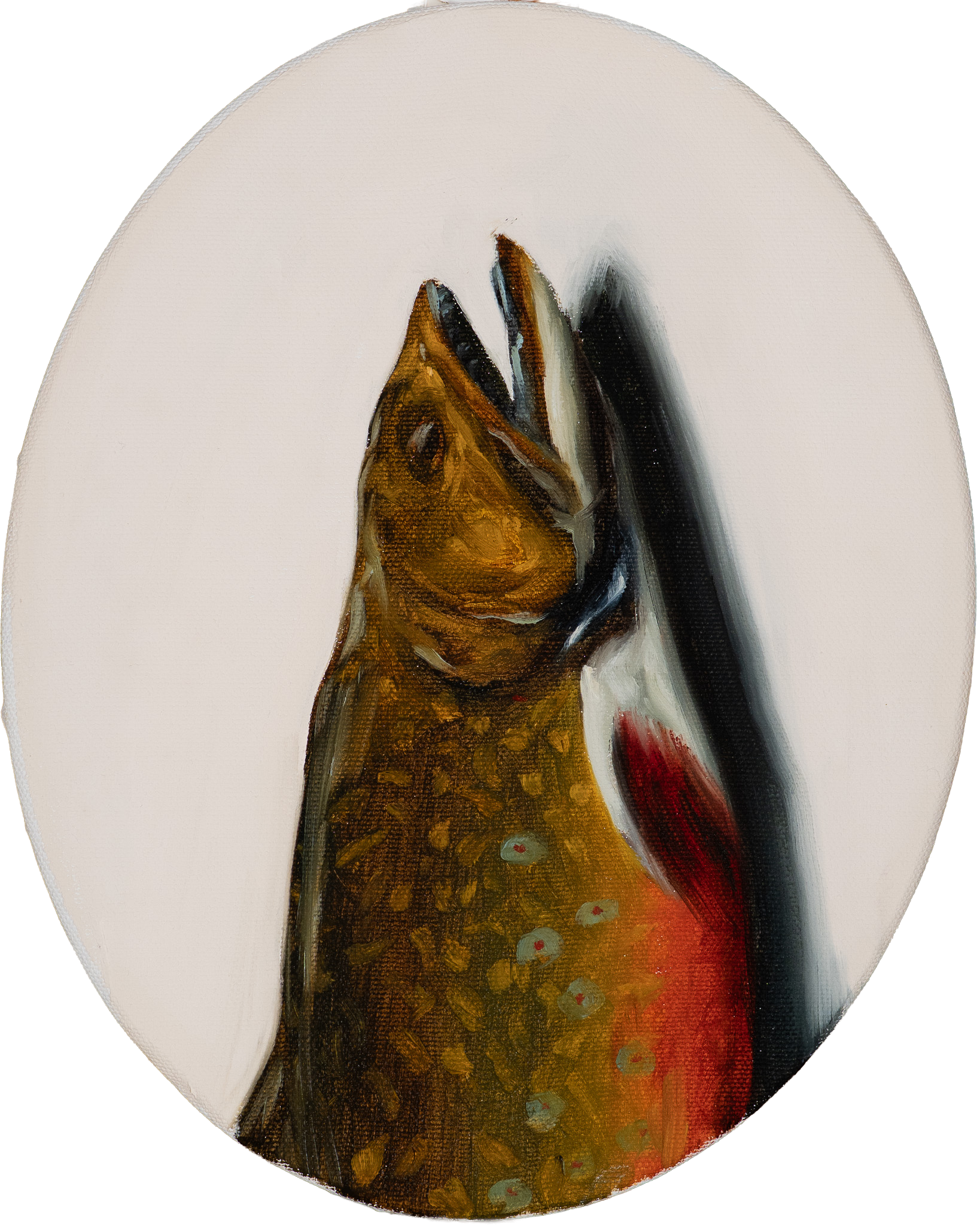 Brook Trout Head.png