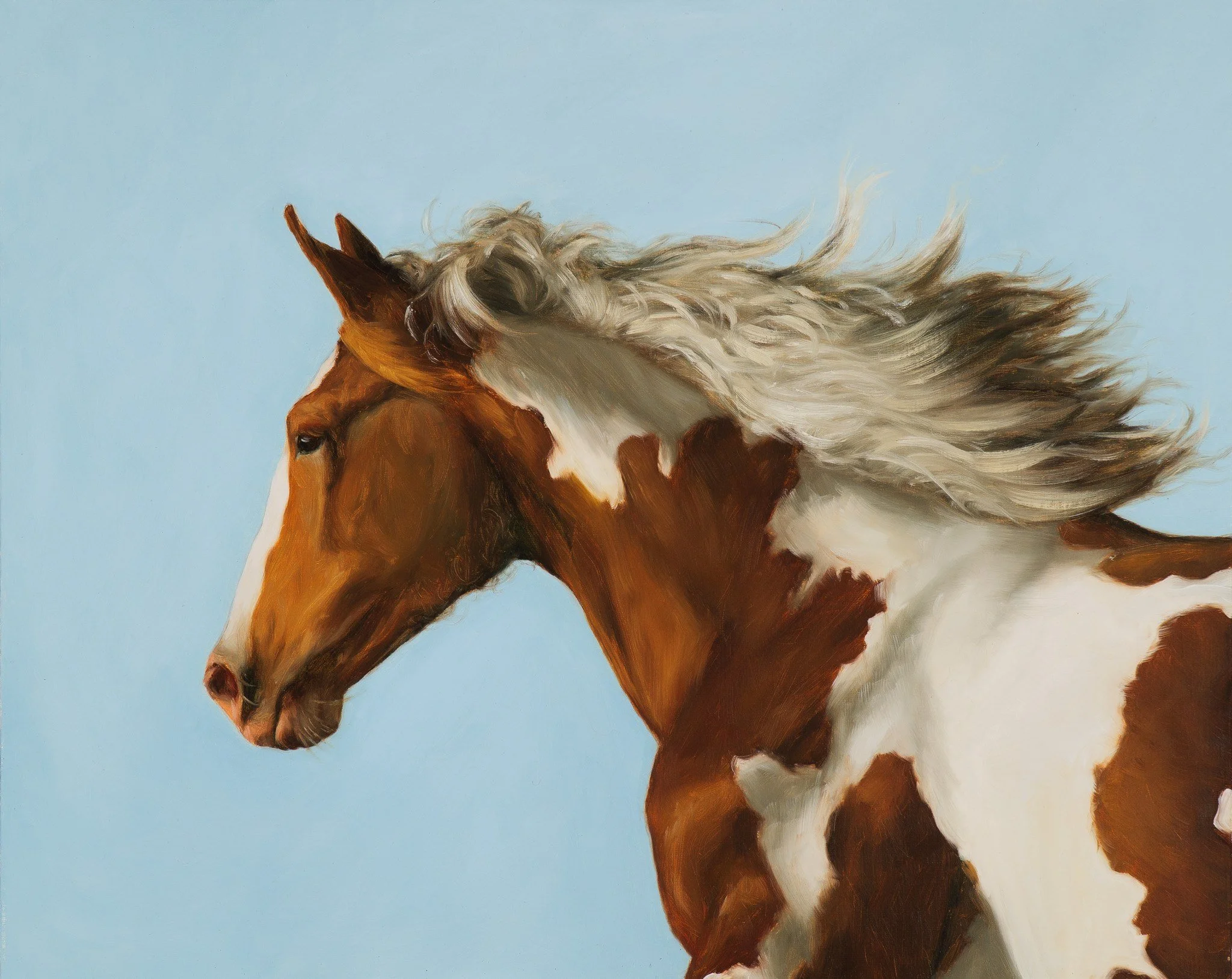 hampton-watts-galloping-against-blue-skies-paint-horse-original-oil-painting-18x24.jpg