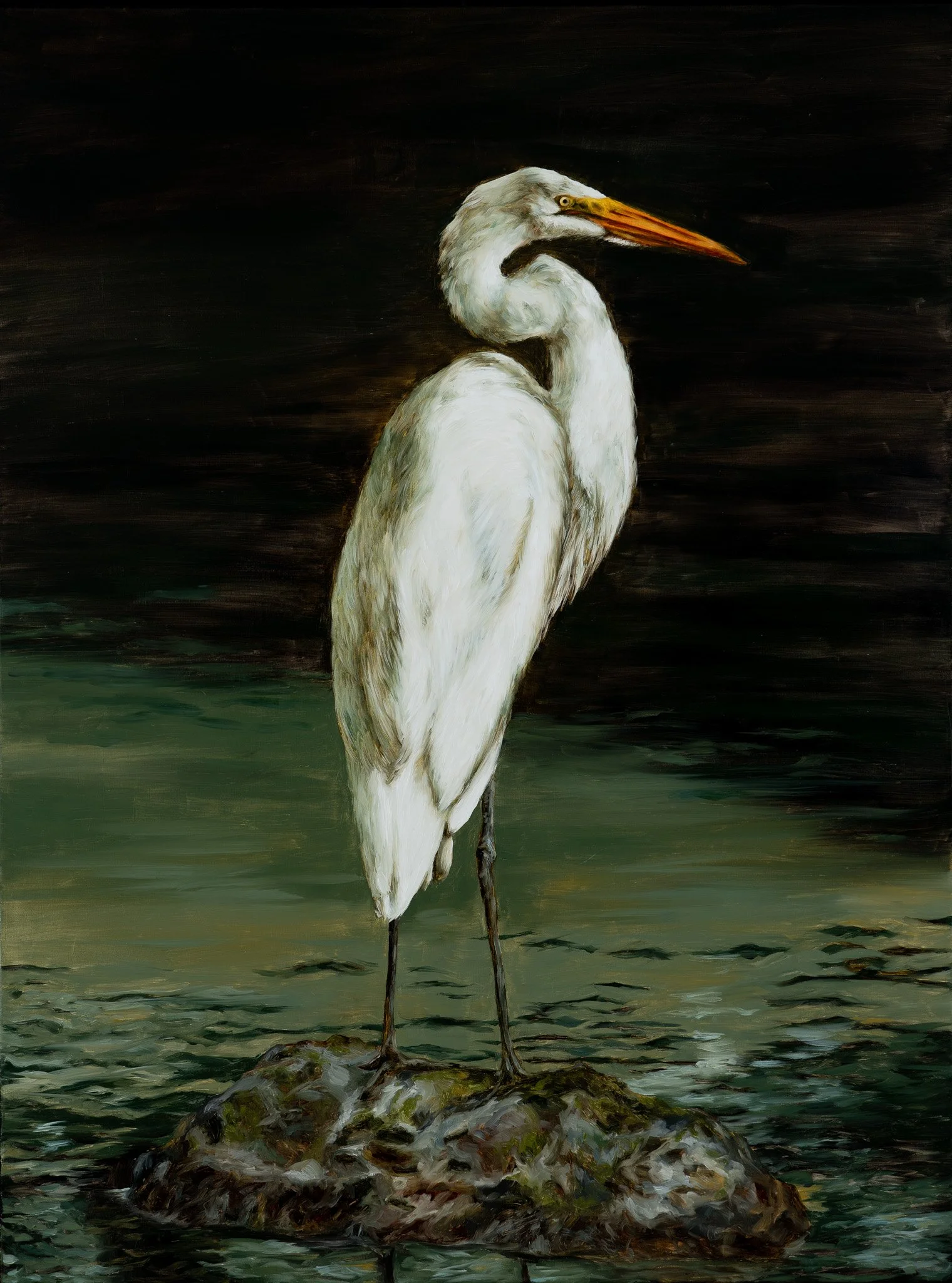 White Egret on a Mossy Log