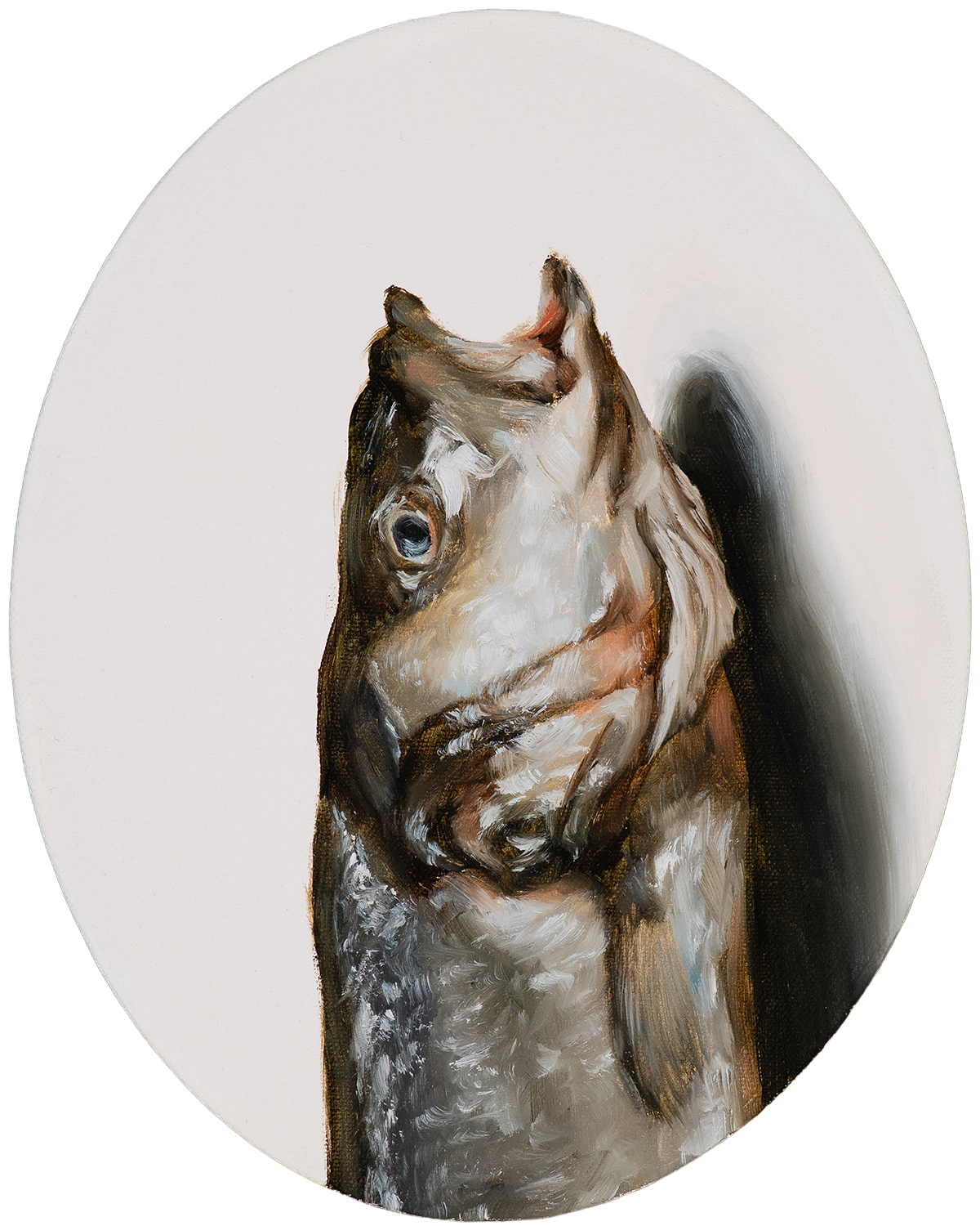 Sporting fish oil painting of a sea bass head tondo by Southern heritage painter Hampton Watts