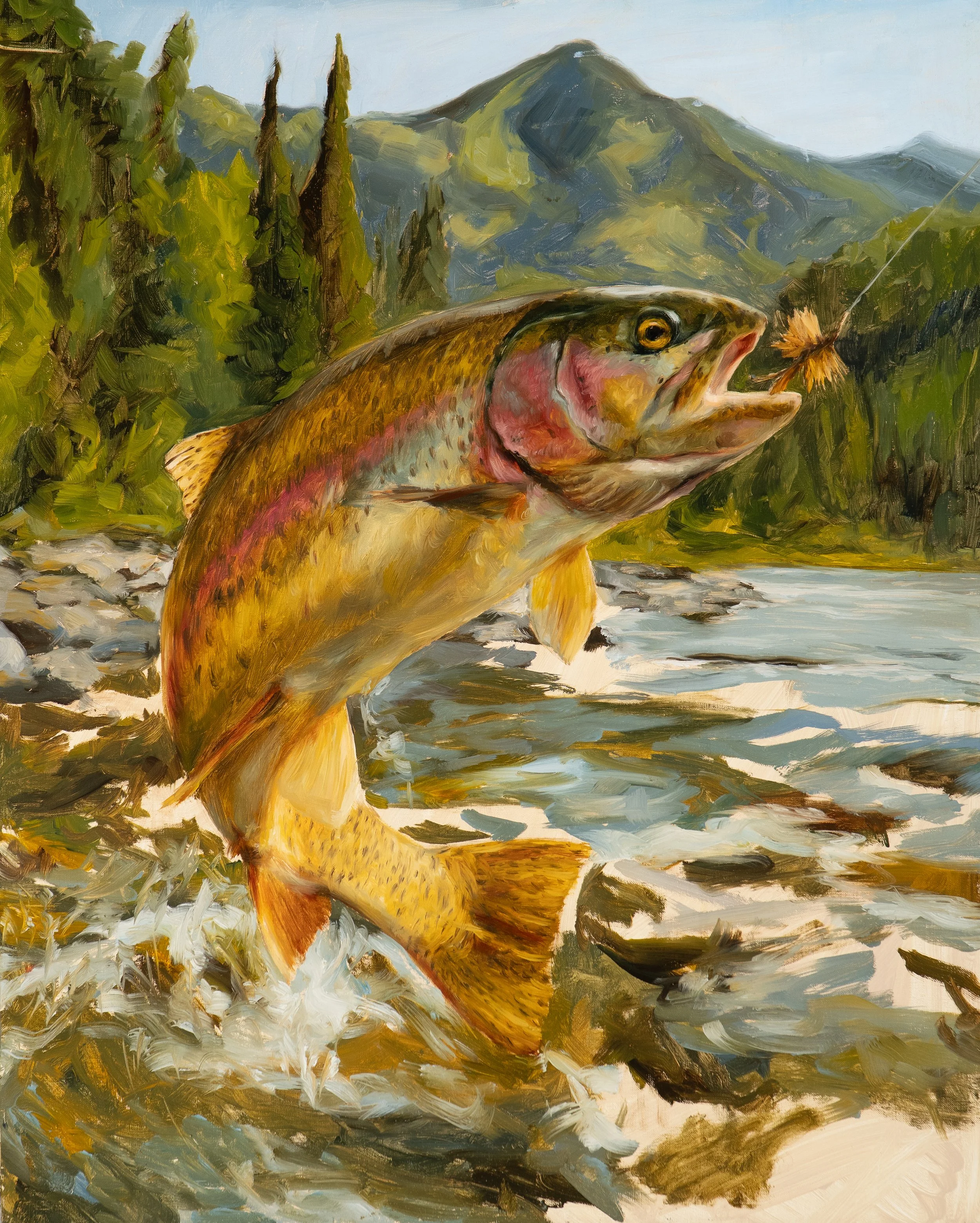 Oil painting of a rainbow trout leaping from a mountain stream to take a dry fly, with pines and a peak behind