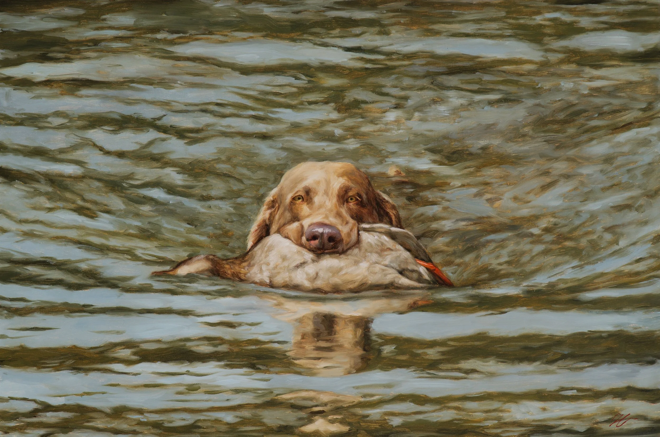 Oil painting of a yellow retriever swimming toward the viewer with a duck in its mouth, reflected in green water