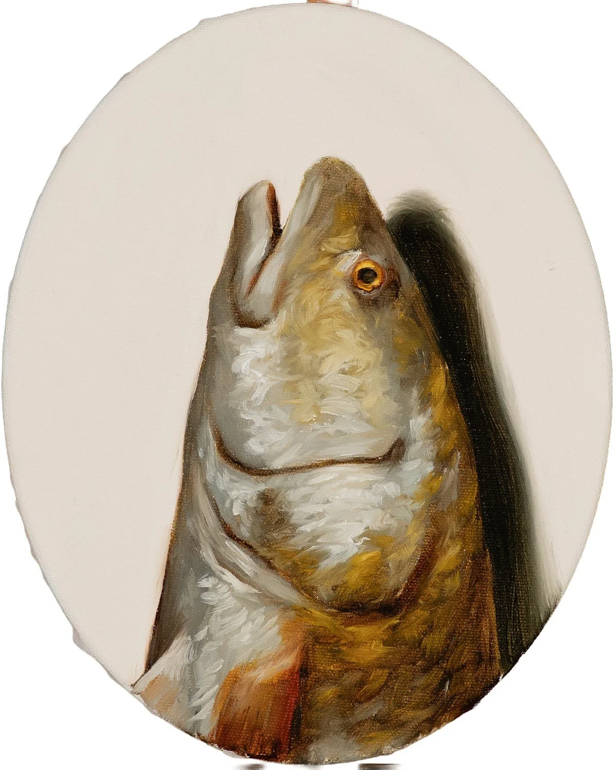 hampton-watts-red-drum-head-oval-study-original-oil-painting-tondo-10x8.jpg