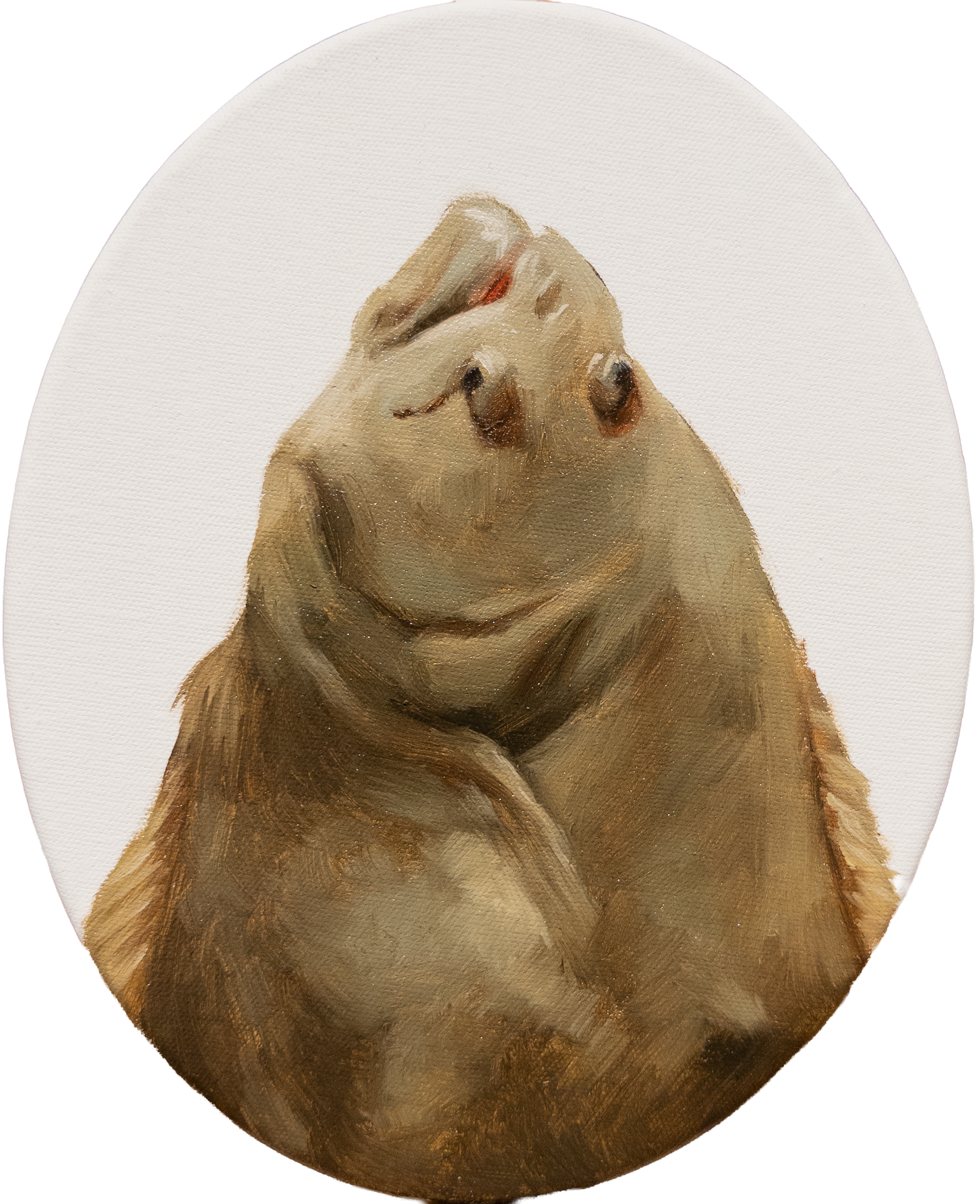 Sporting fish oil painting of a flounder head tondo by Southern painter Hampton Watts