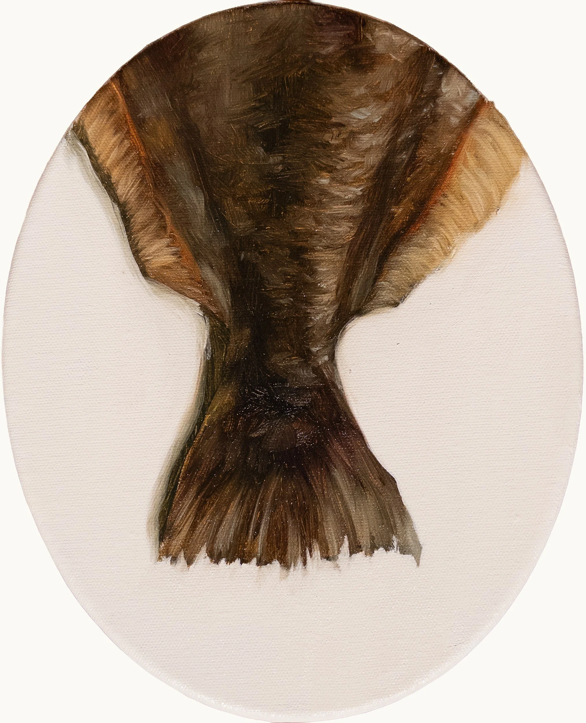 hampton-watts-flounder-tail-oval-study-i-original-oil-painting-tondo-10x8.jpg