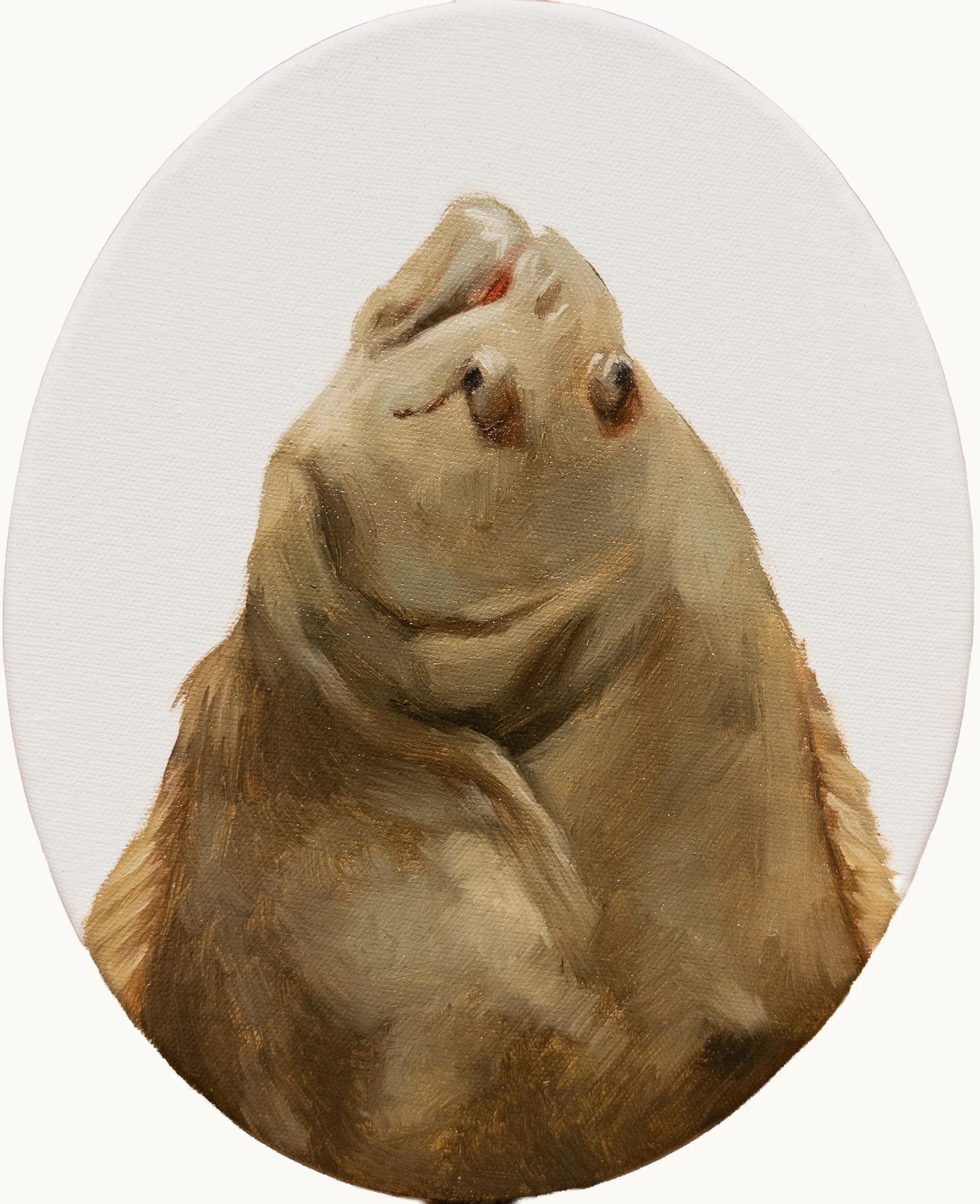 hampton-watts-flounder-head-oval-study-i-original-oil-painting-tondo-10x8.jpg