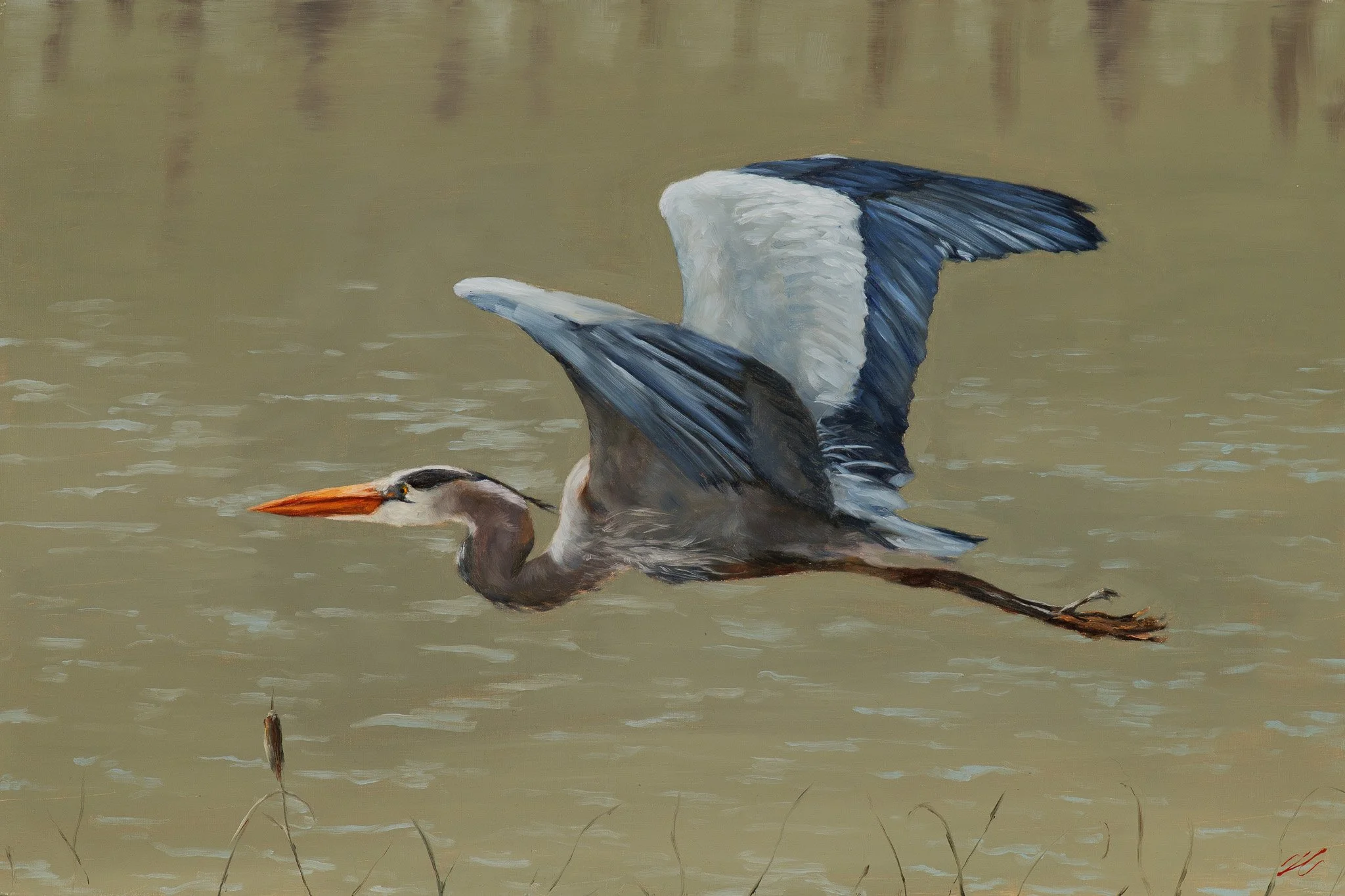 Oil painting of a great blue heron in flight low over Lowcountry marsh water, wings raised, by Hampton Watts