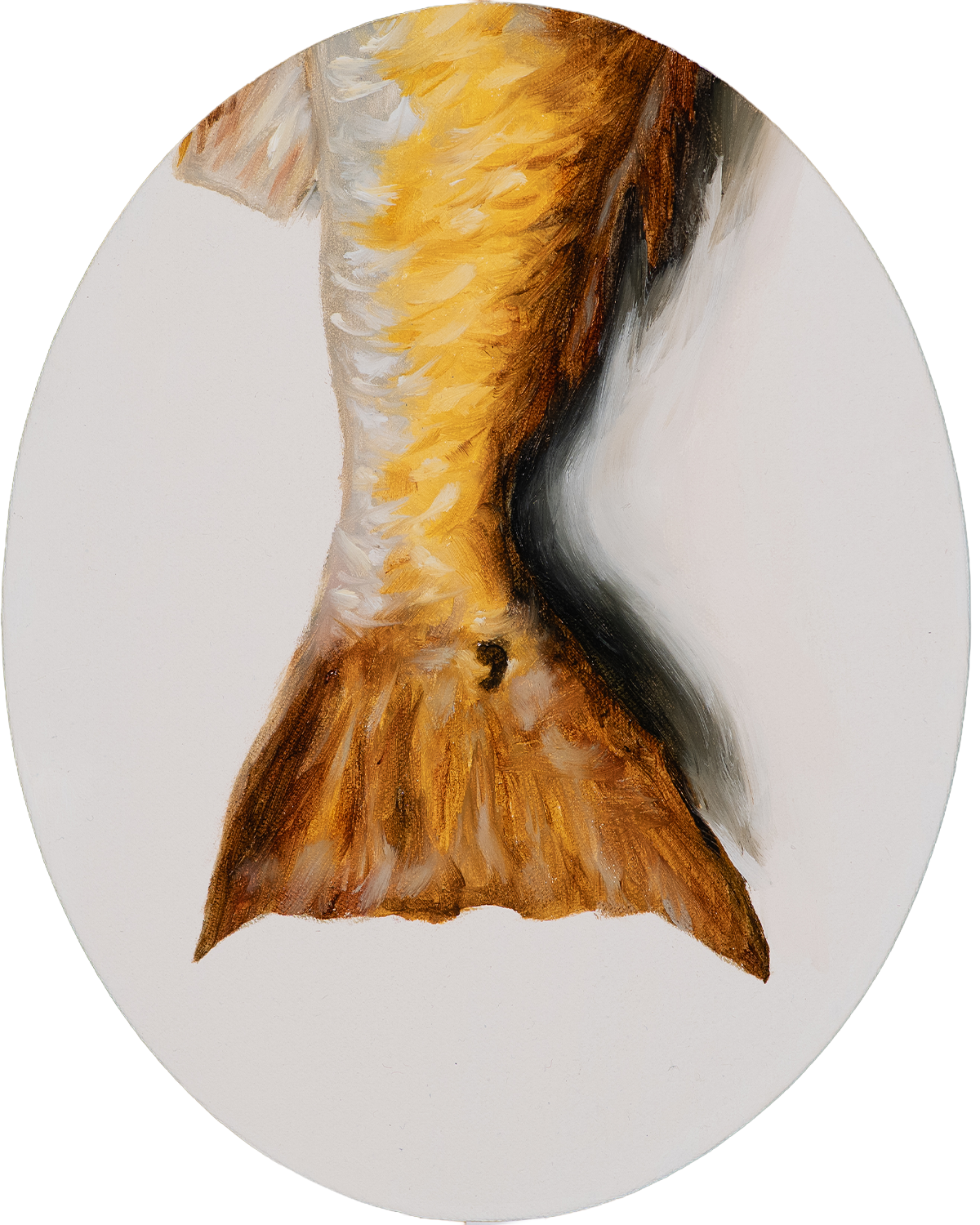 Classical oil painting of a red drum tail tondo by Savannah sporting artist Hampton Watts