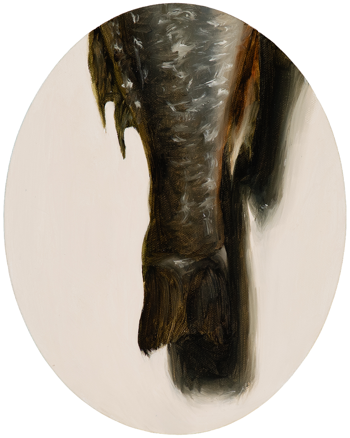 Sporting fish oil painting of a sea bass tail tondo by Southern heritage painter Hampton Watts