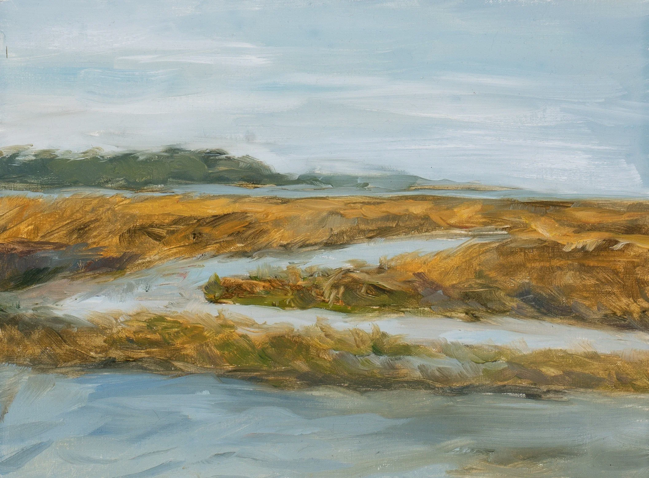 hampton-watts-dusk-on-the-marsh-lowcountry-landscape-original-oil-painting-9x12.jpg