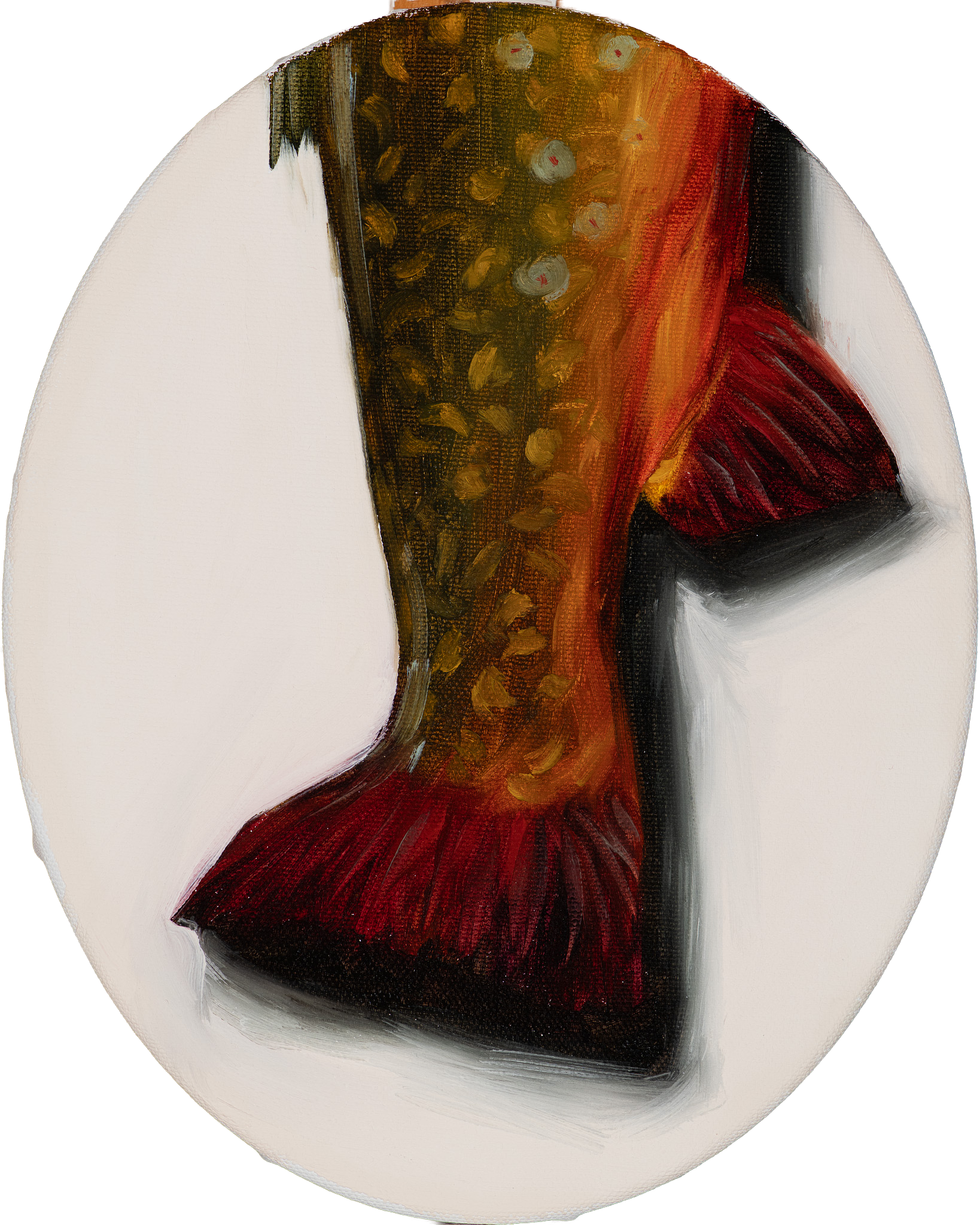Oil painting of a brook trout tail tondo by Hampton Watts — Southern sporting fish painting
