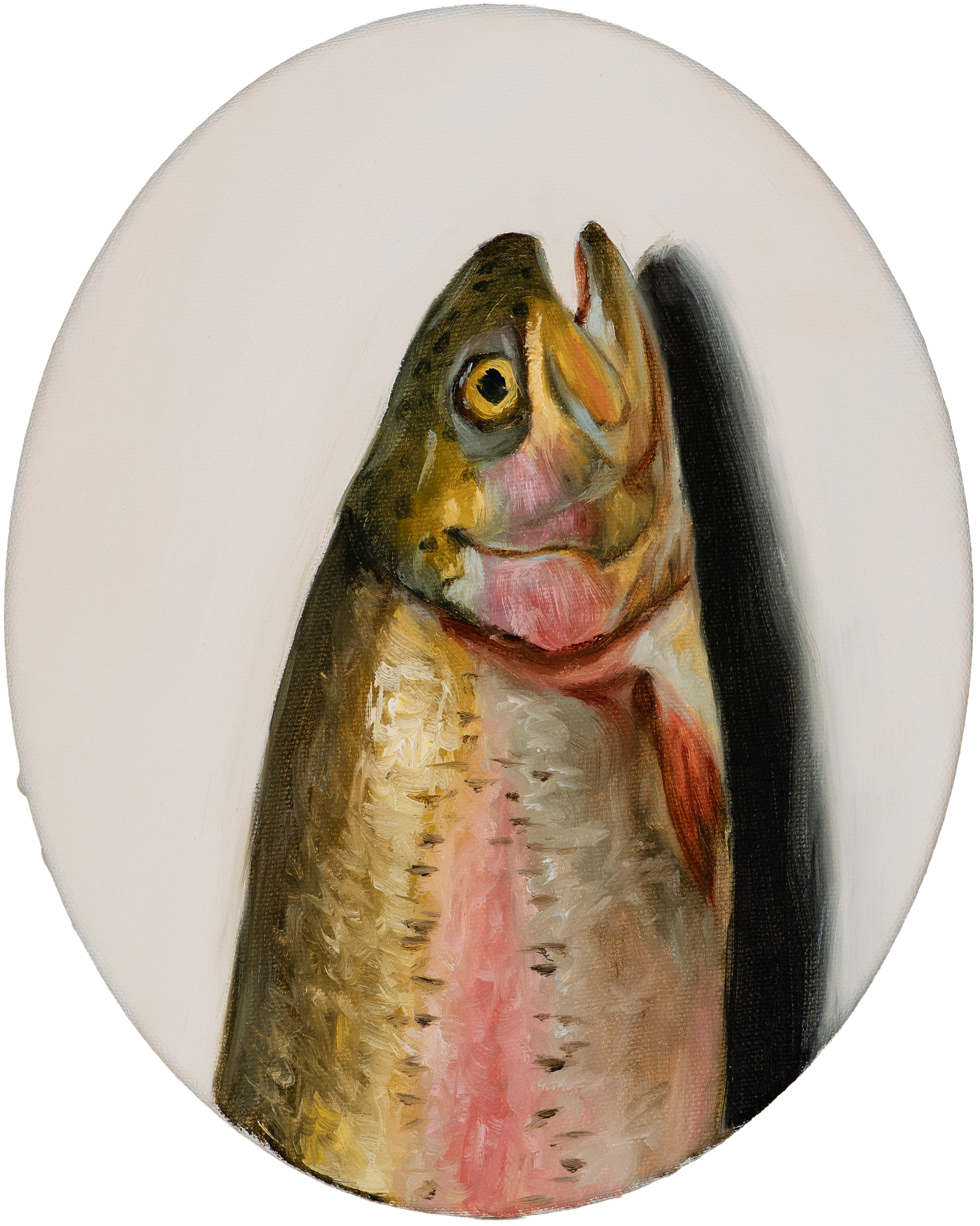 Oil painting of a rainbow trout head tondo by Hampton Watts — Southern sporting fish art