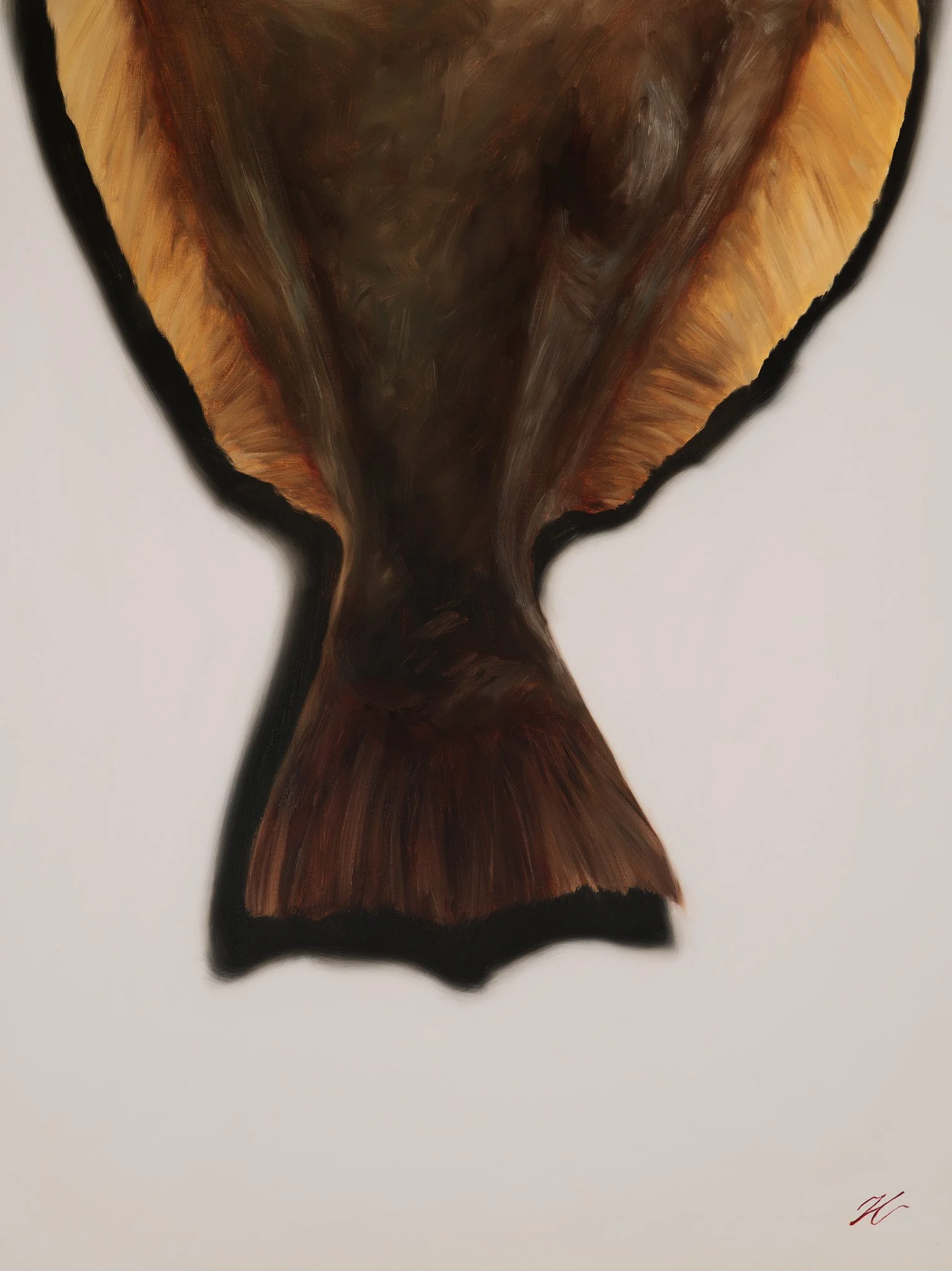 Tail panel of an oil diptych: a flounder's tail and gold-edged fins with a dark cast shadow against a pale ground, by Hampton Watts