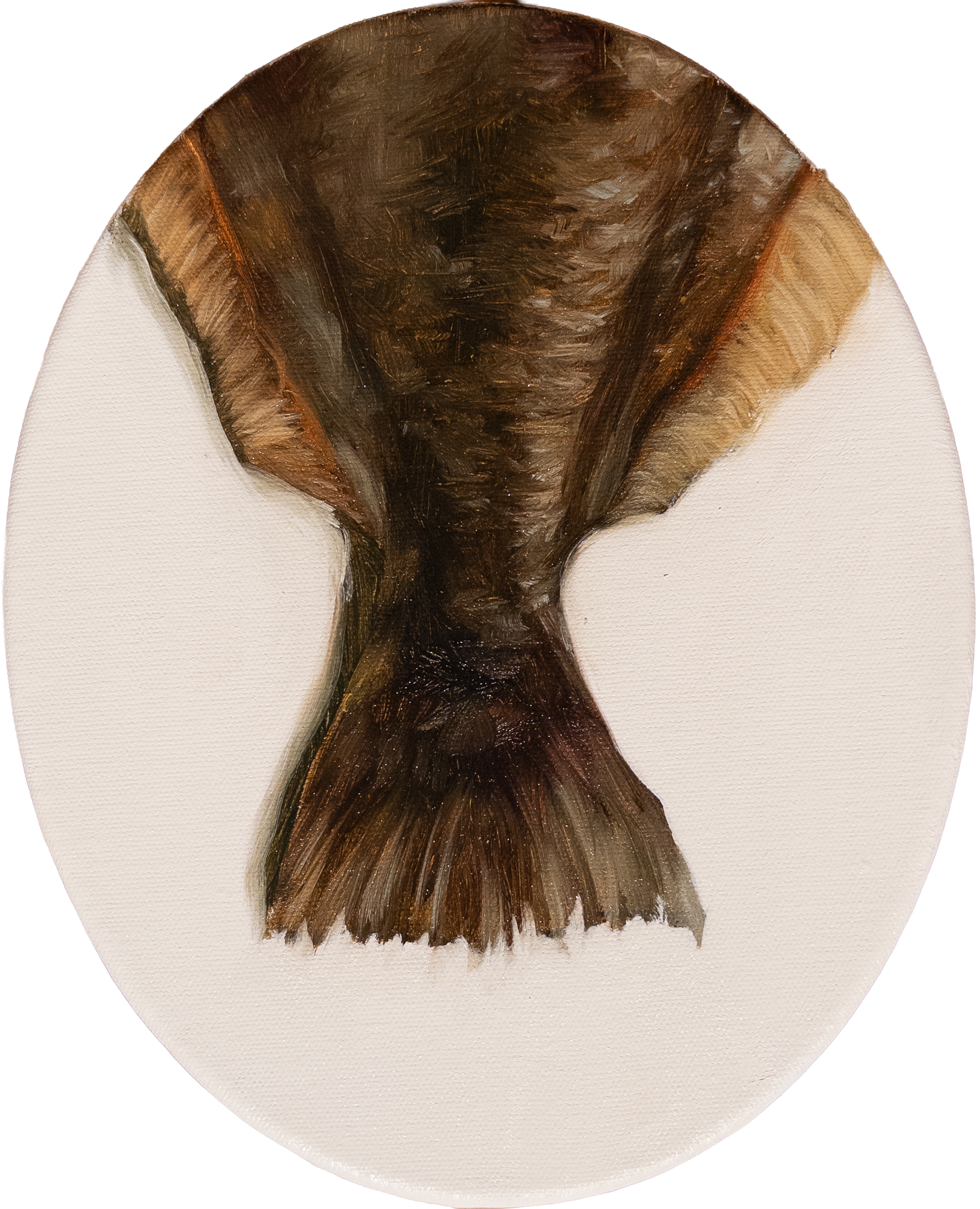 Sporting fish oil painting of a flounder tail tondo by Southern painter Hampton Watts