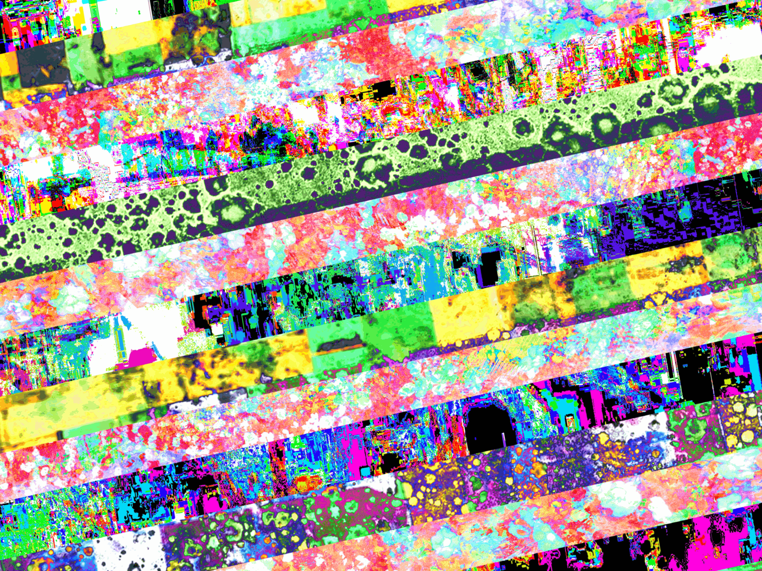 StripesInClass.png