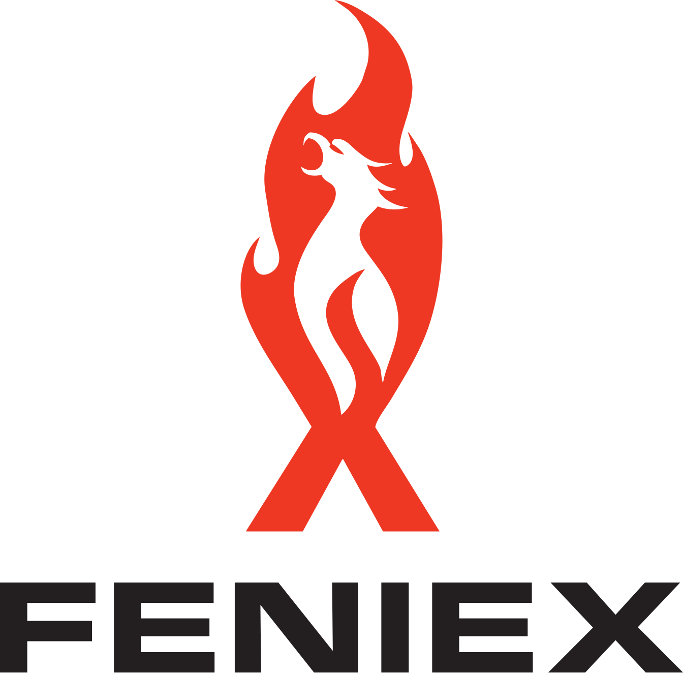 Feniex Training