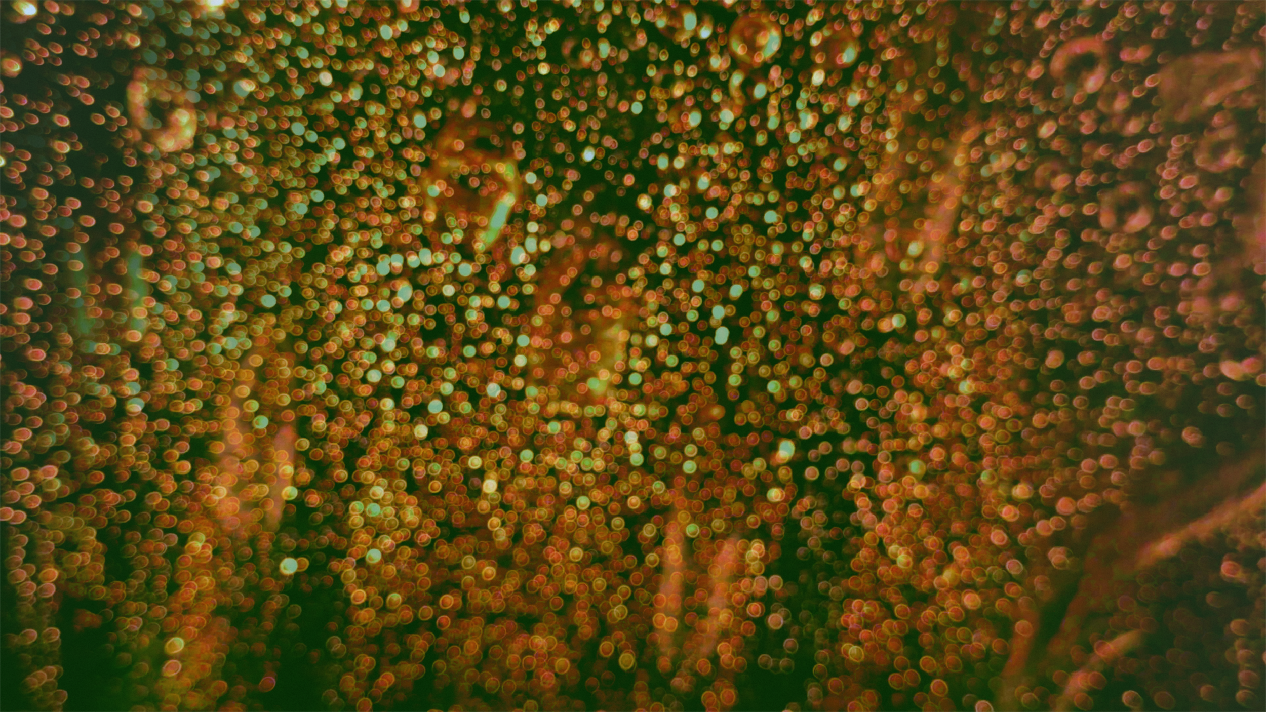Meditations_v3.00_01_06_19.Still013.png