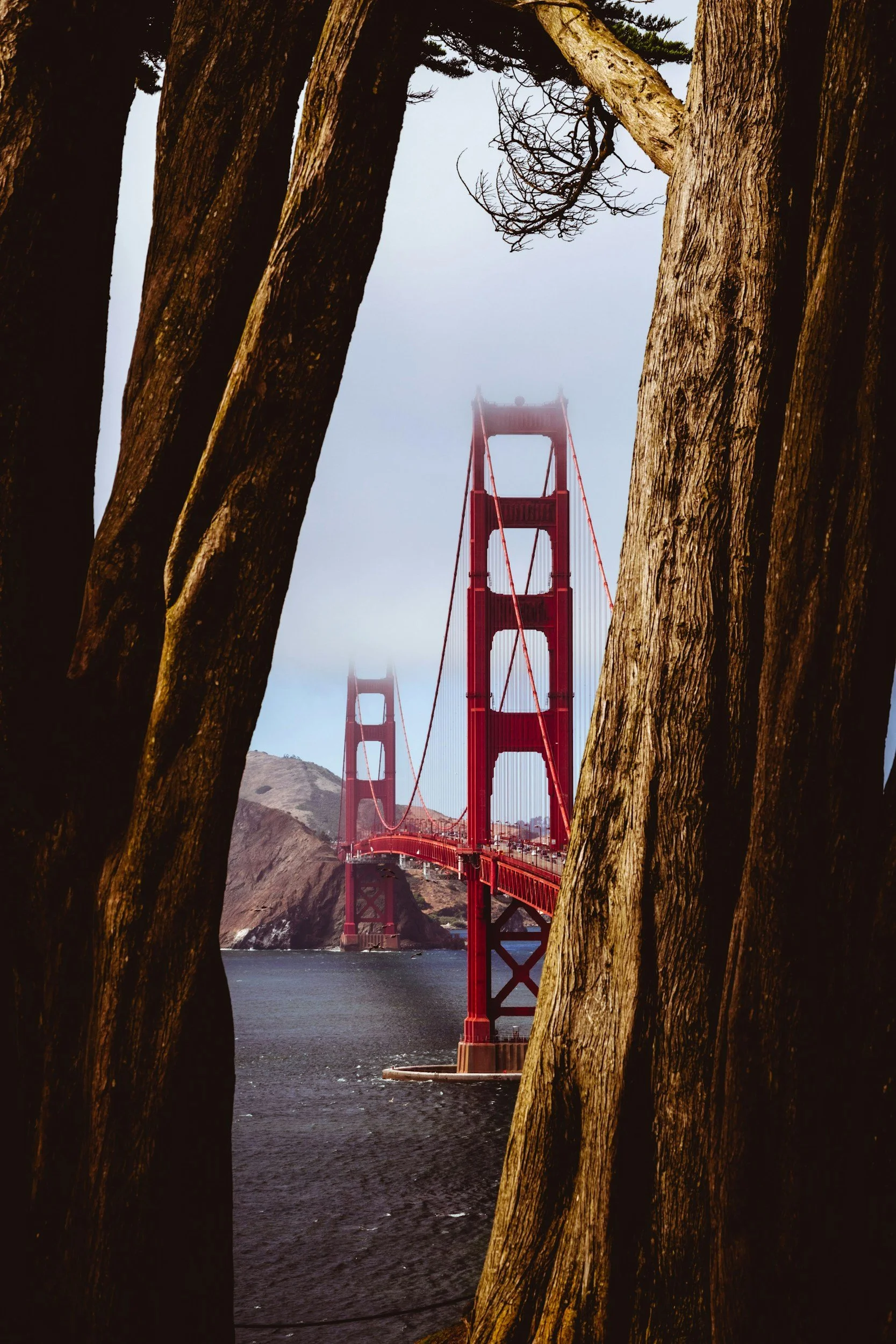 RPM 2 Day Workshop: San Francisco