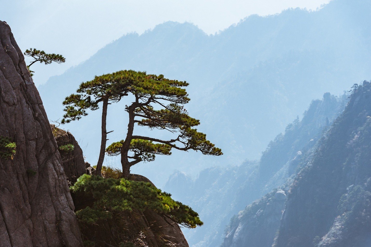 Committing to Uncertainty