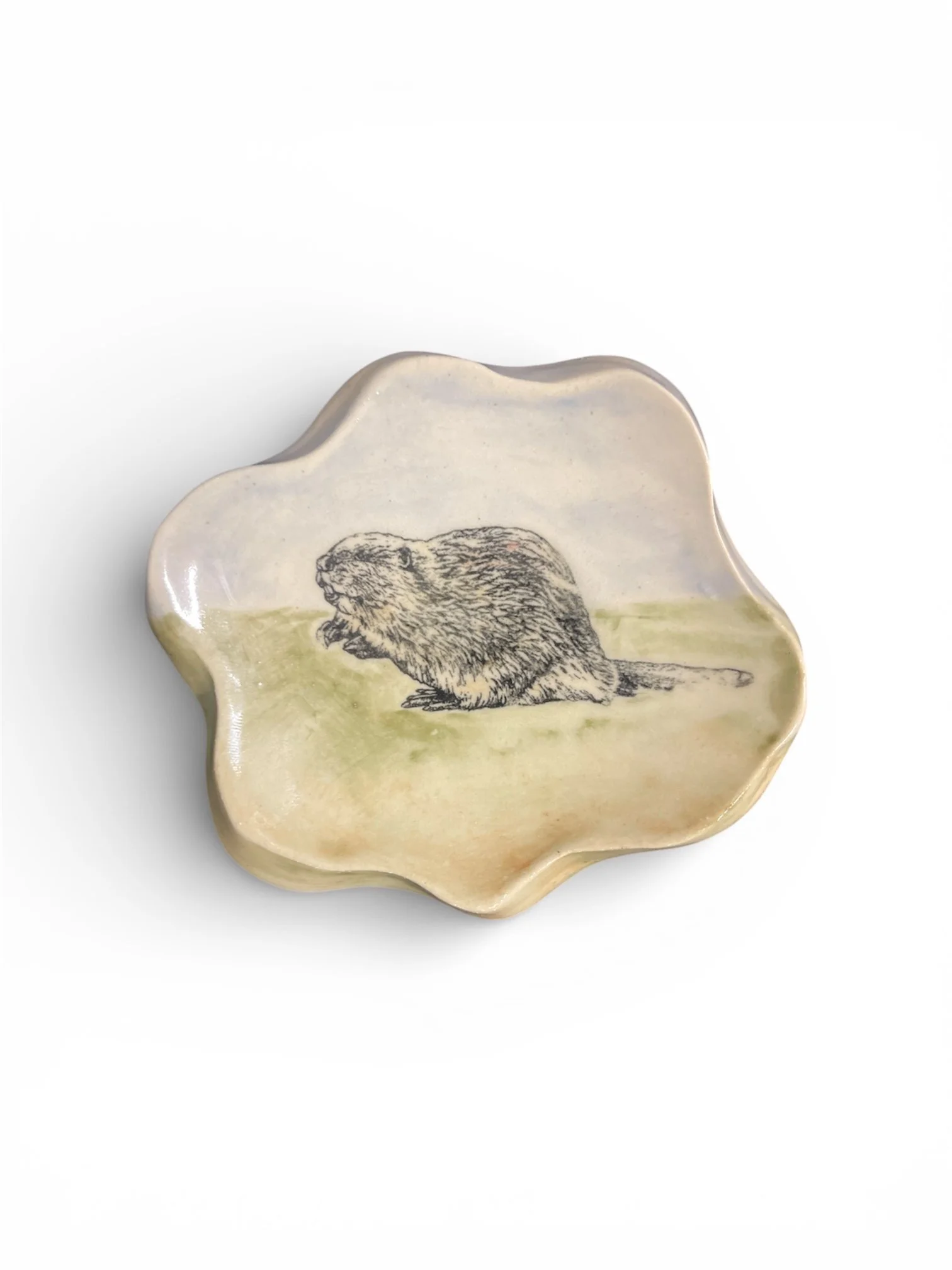 Photoroom_20260111_150233 2.JPG