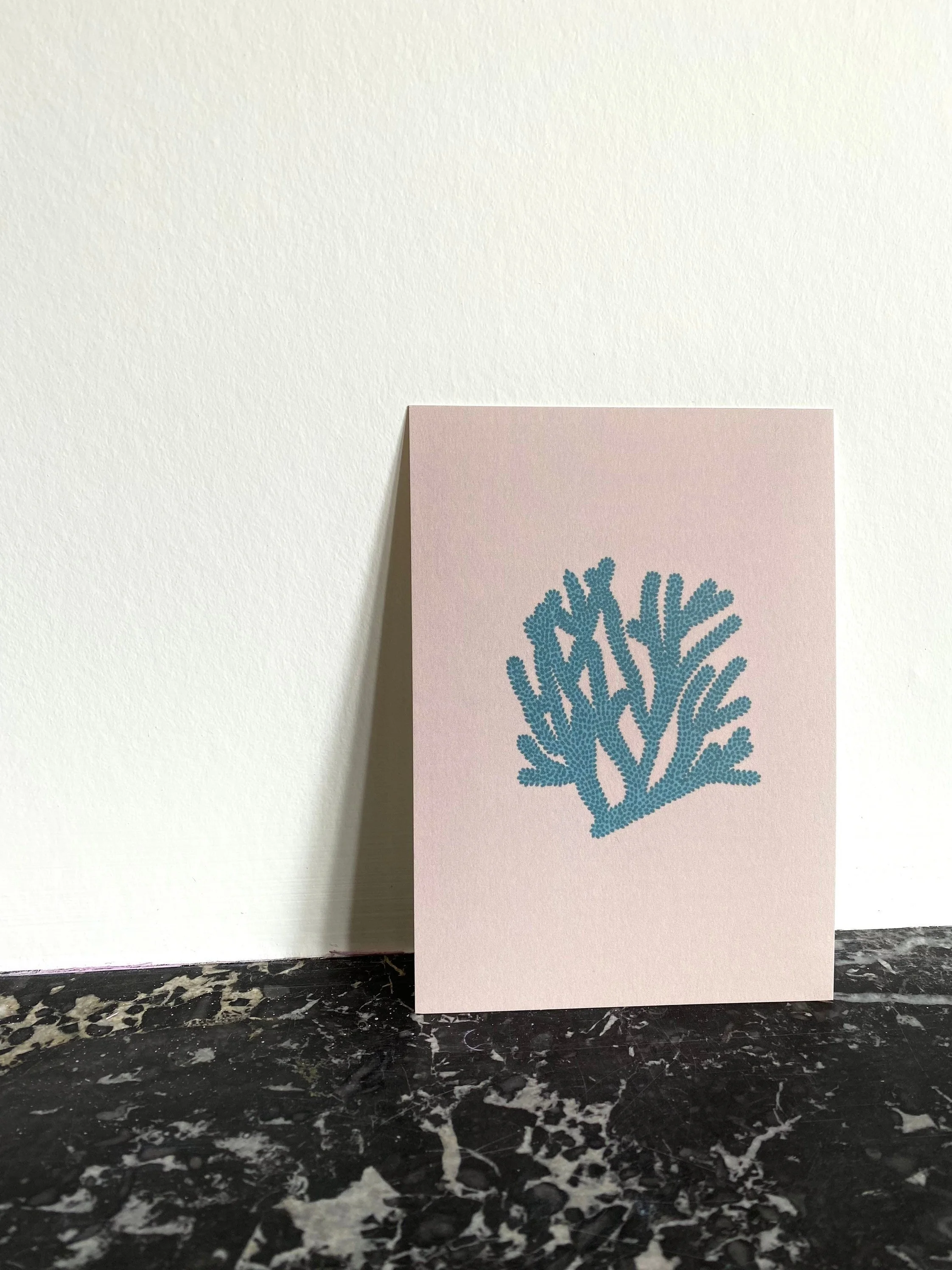 https://i.etsystatic.com/14261642/r/il/78a908/3318176894/il_fullxfull.3318176894_fu6z.jpg