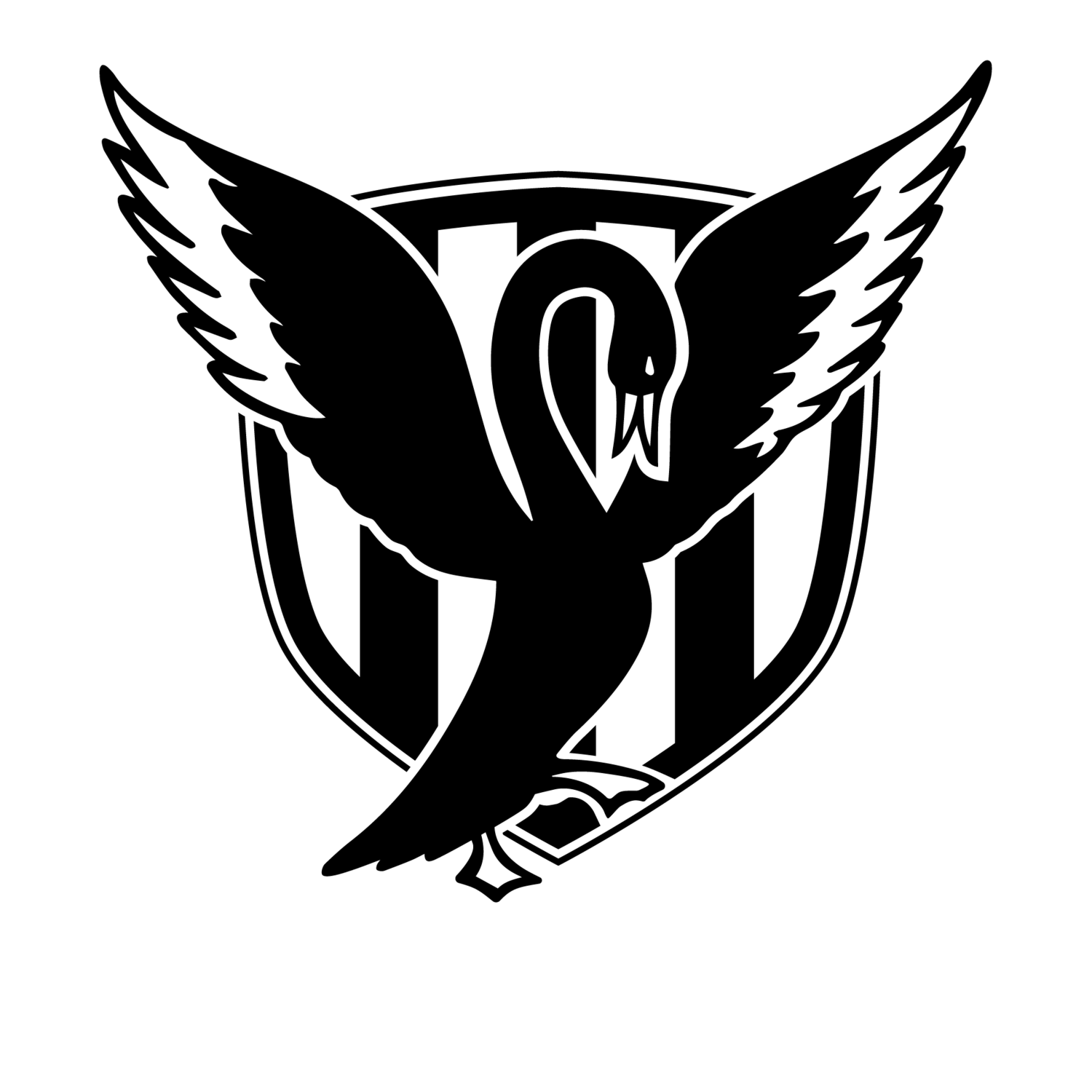 Swans Social Impact