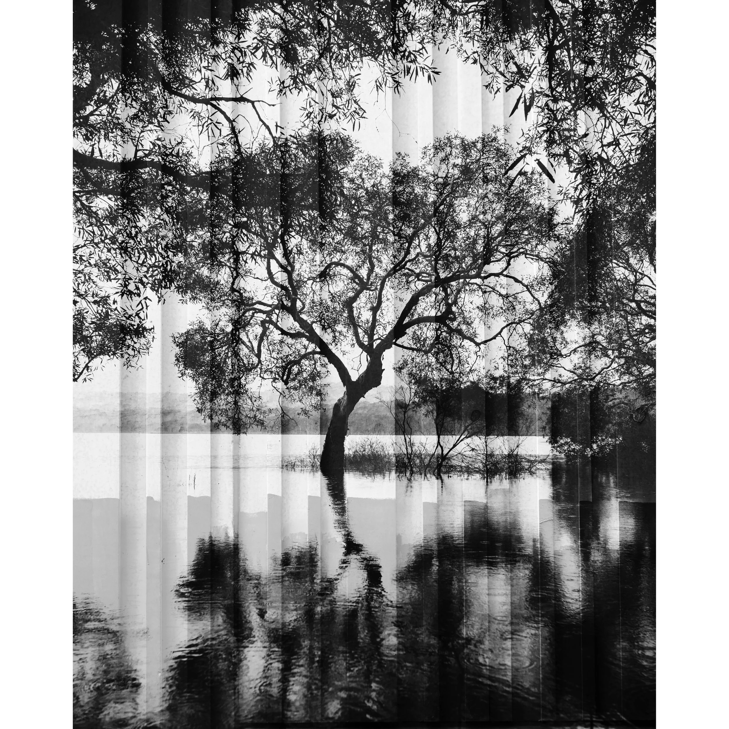 Brown Lake