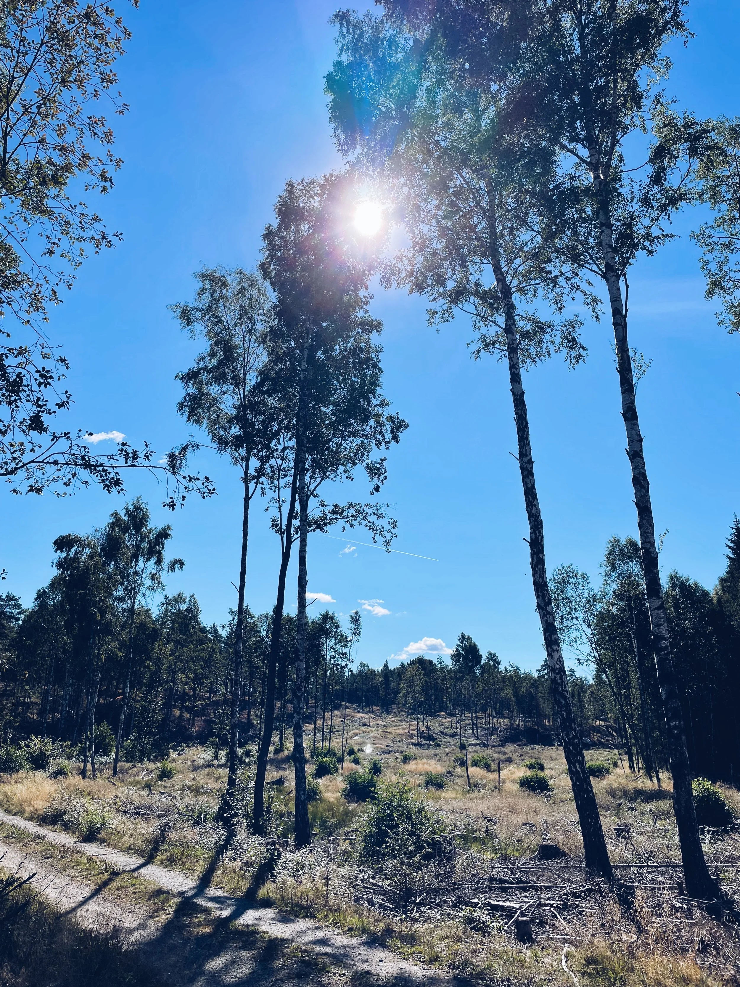 Late summer, early fall
