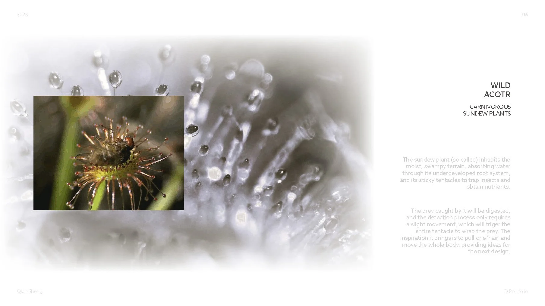 QianSheng_Portfolio_Id_2023_页面_62.jpg