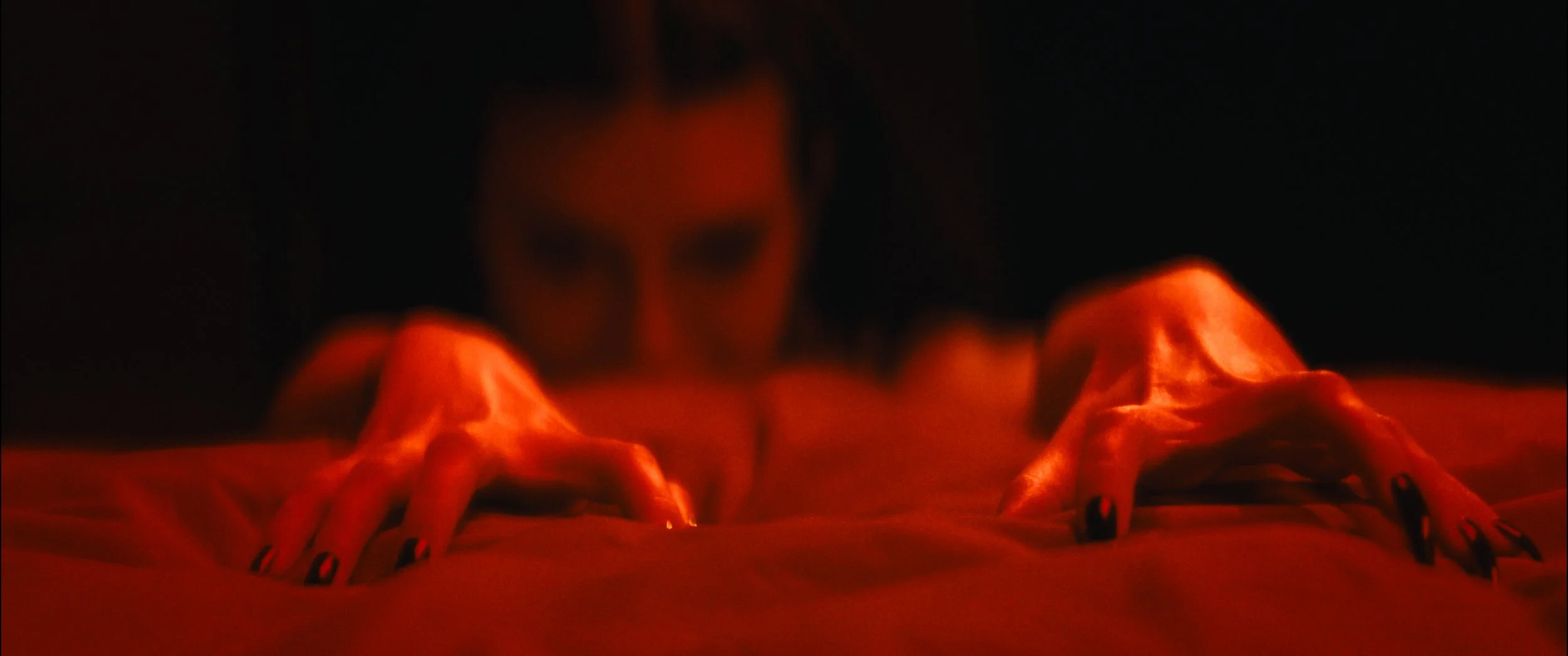 Still 2024-10-30 230824_1.182.1.jpg