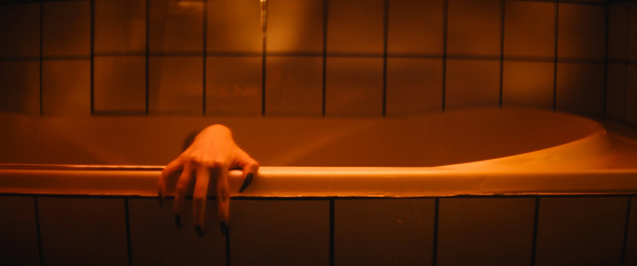 Still 2024-10-30 230824_1.24.1.jpg