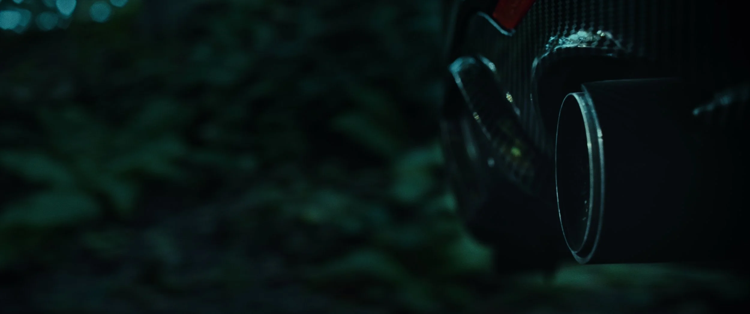 Still 2024-10-30 230824_1.6.1.jpg