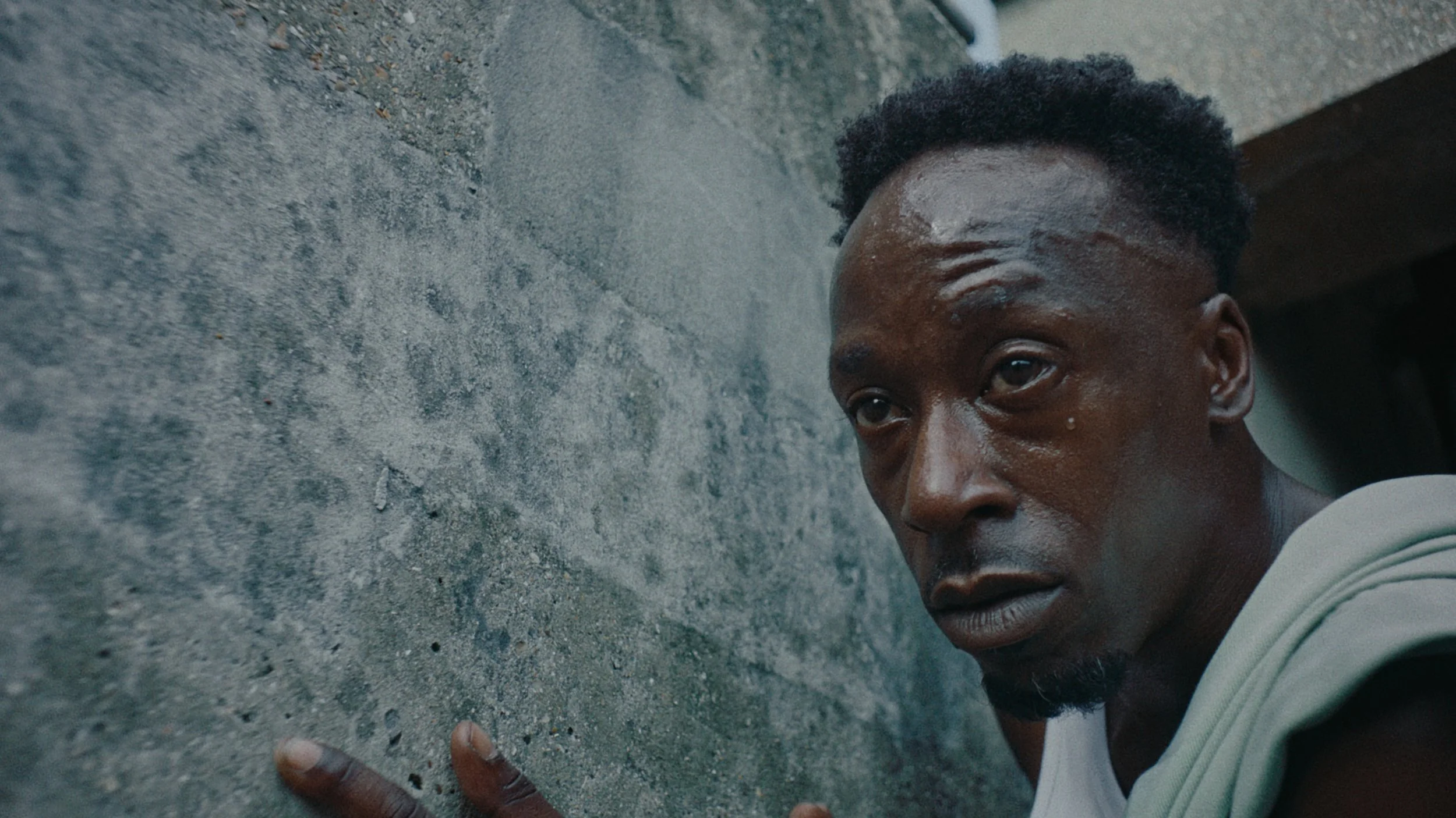 Still 2024-08-26 202805_1.1.16.jpg