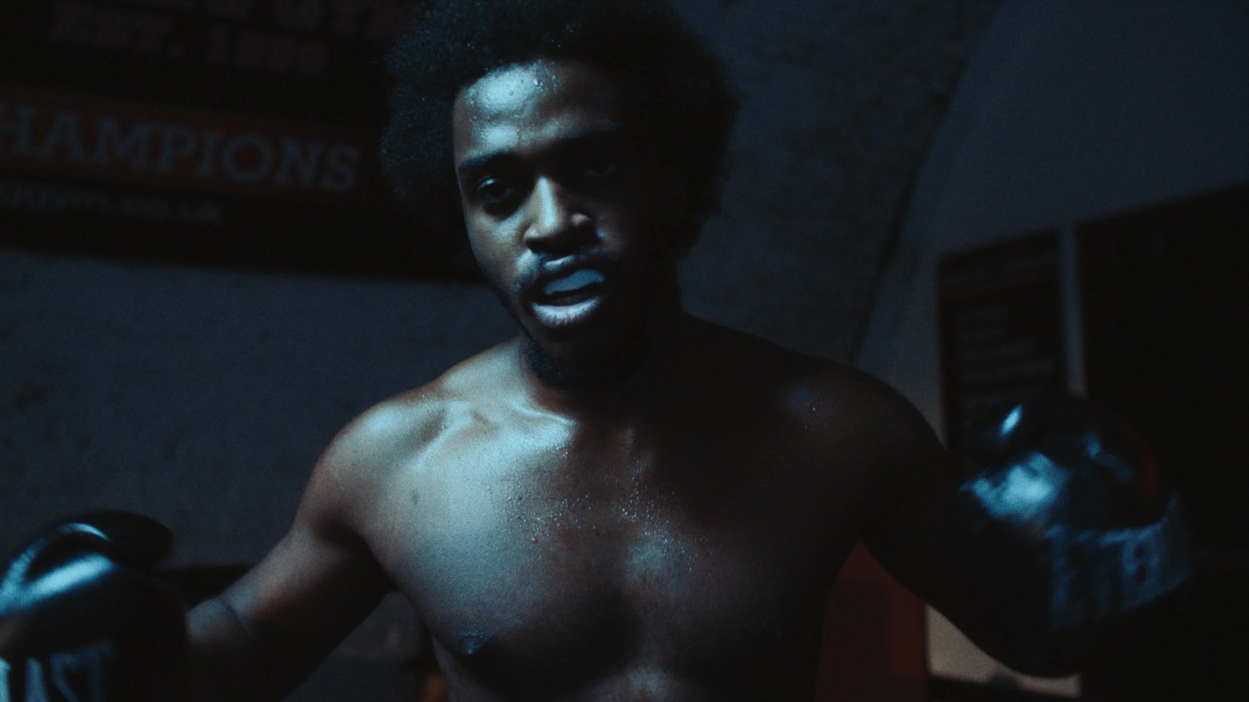 Still 2026-02-24 155616_1.80.14.jpg